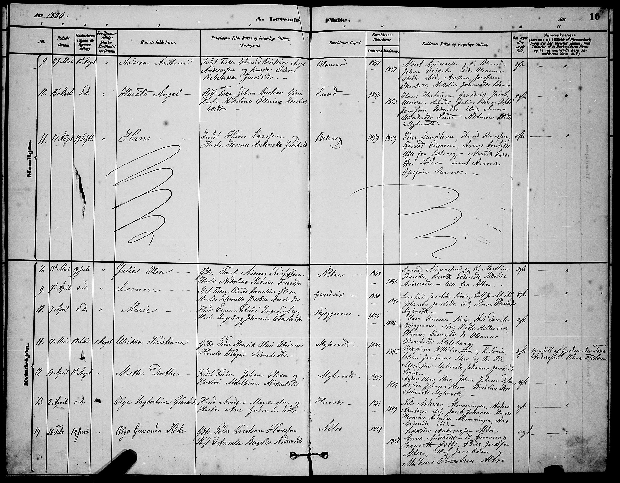 Ministerialprotokoller, klokkerbøker og fødselsregistre - Nordland, AV/SAT-A-1459/830/L0462: Parish register (copy) no. 830C04, 1882-1895, p. 16