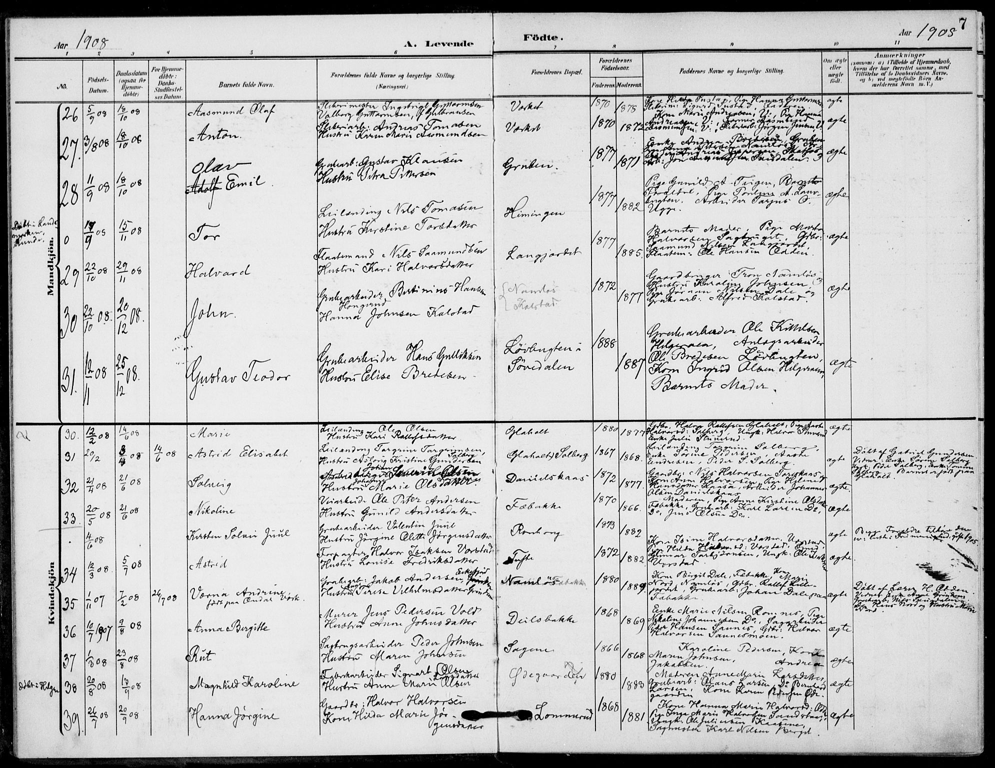 Holla kirkebøker, AV/SAKO-A-272/F/Fa/L0012: Parish register (official) no. 12, 1907-1923, p. 7