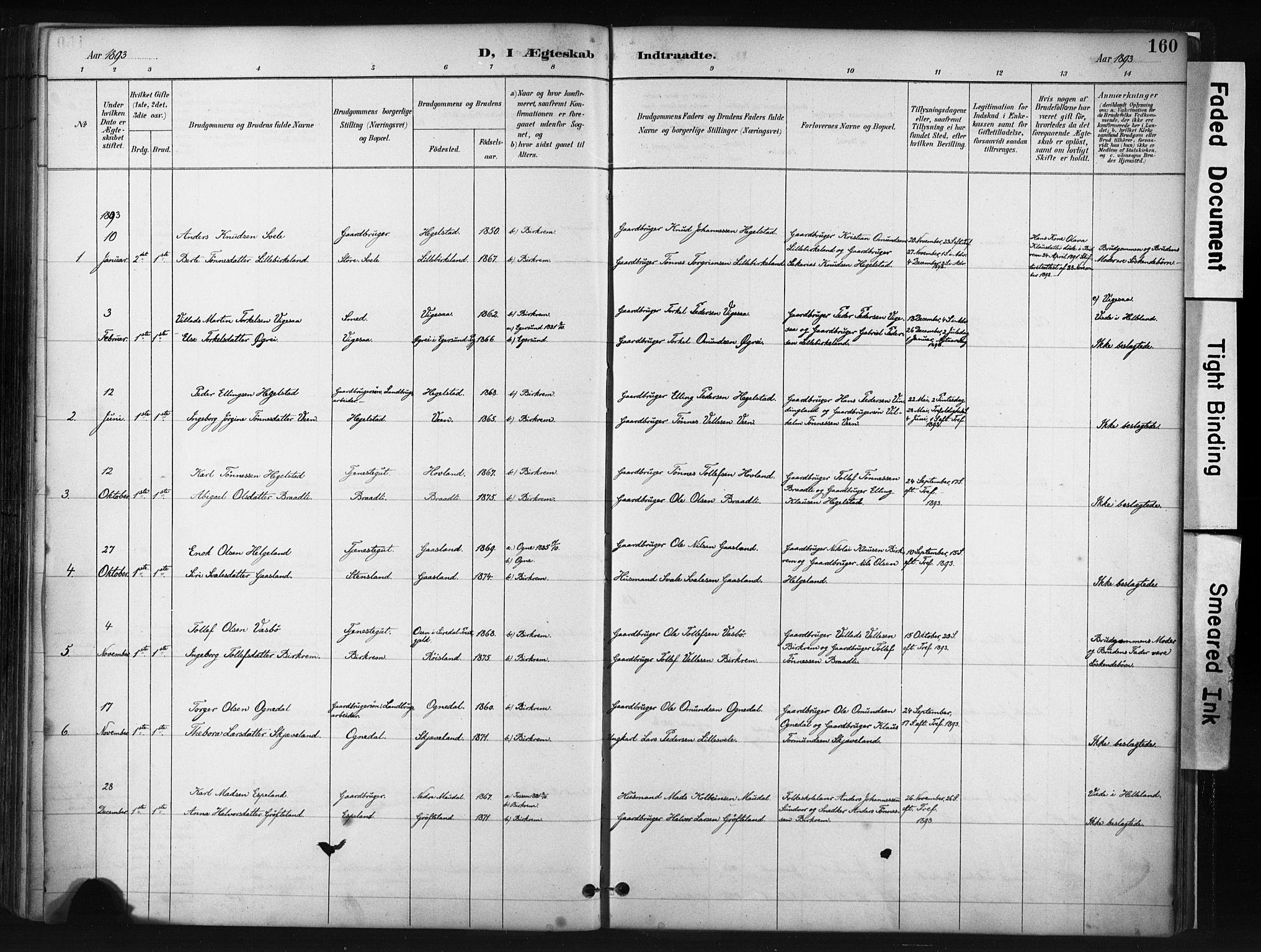 Helleland sokneprestkontor, AV/SAST-A-101810: Parish register (official) no. A 9, 1887-1908, p. 160