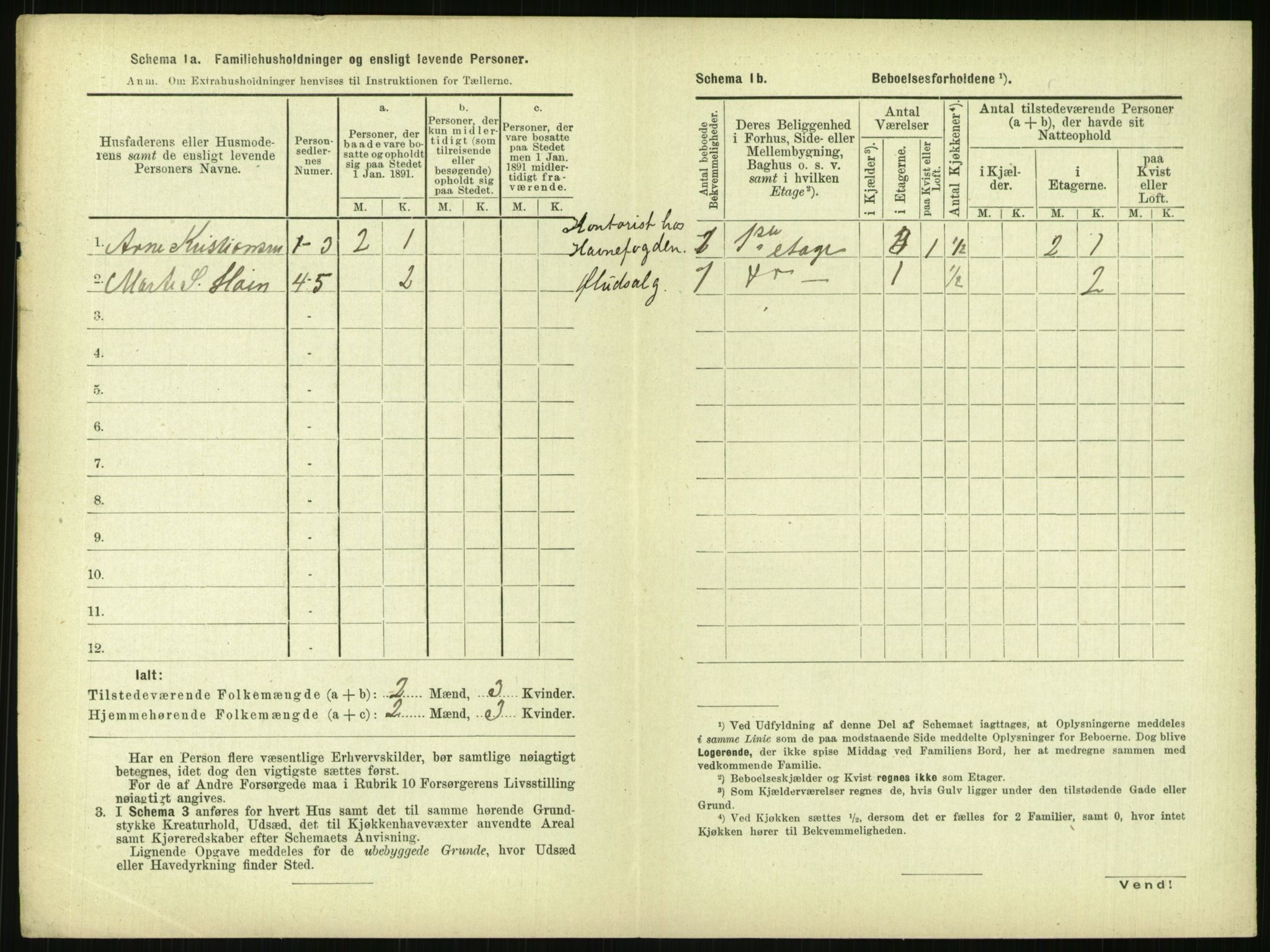 RA, 1891 census for 0806 Skien, 1891, p. 1619