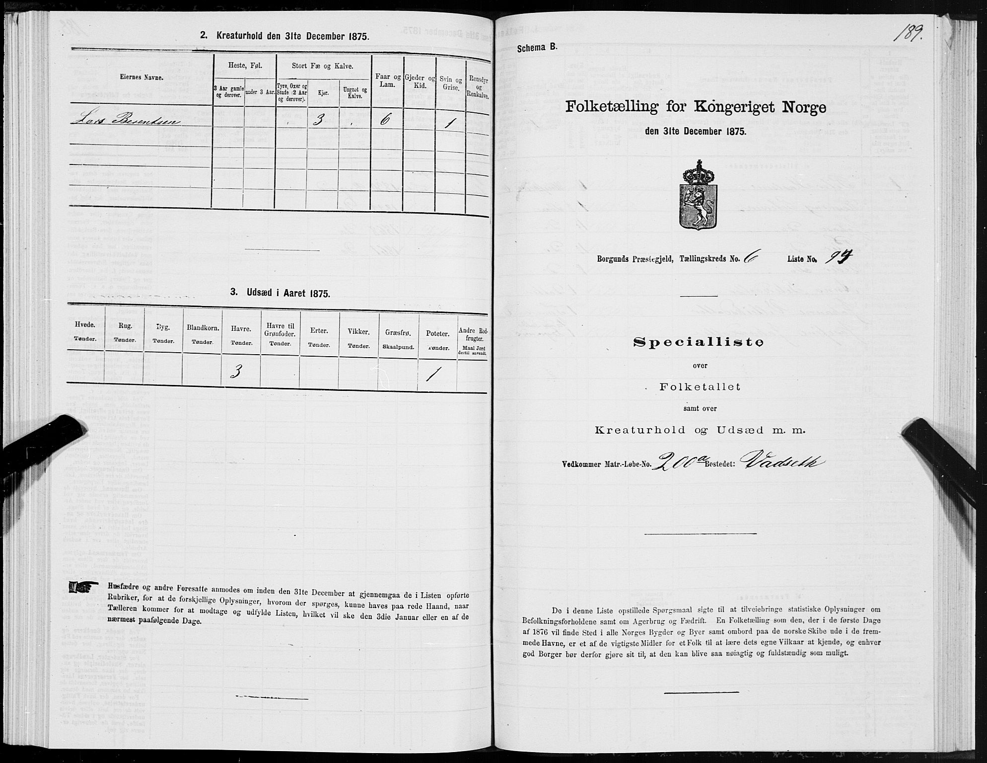 SAT, 1875 census for 1531P Borgund, 1875, p. 4189