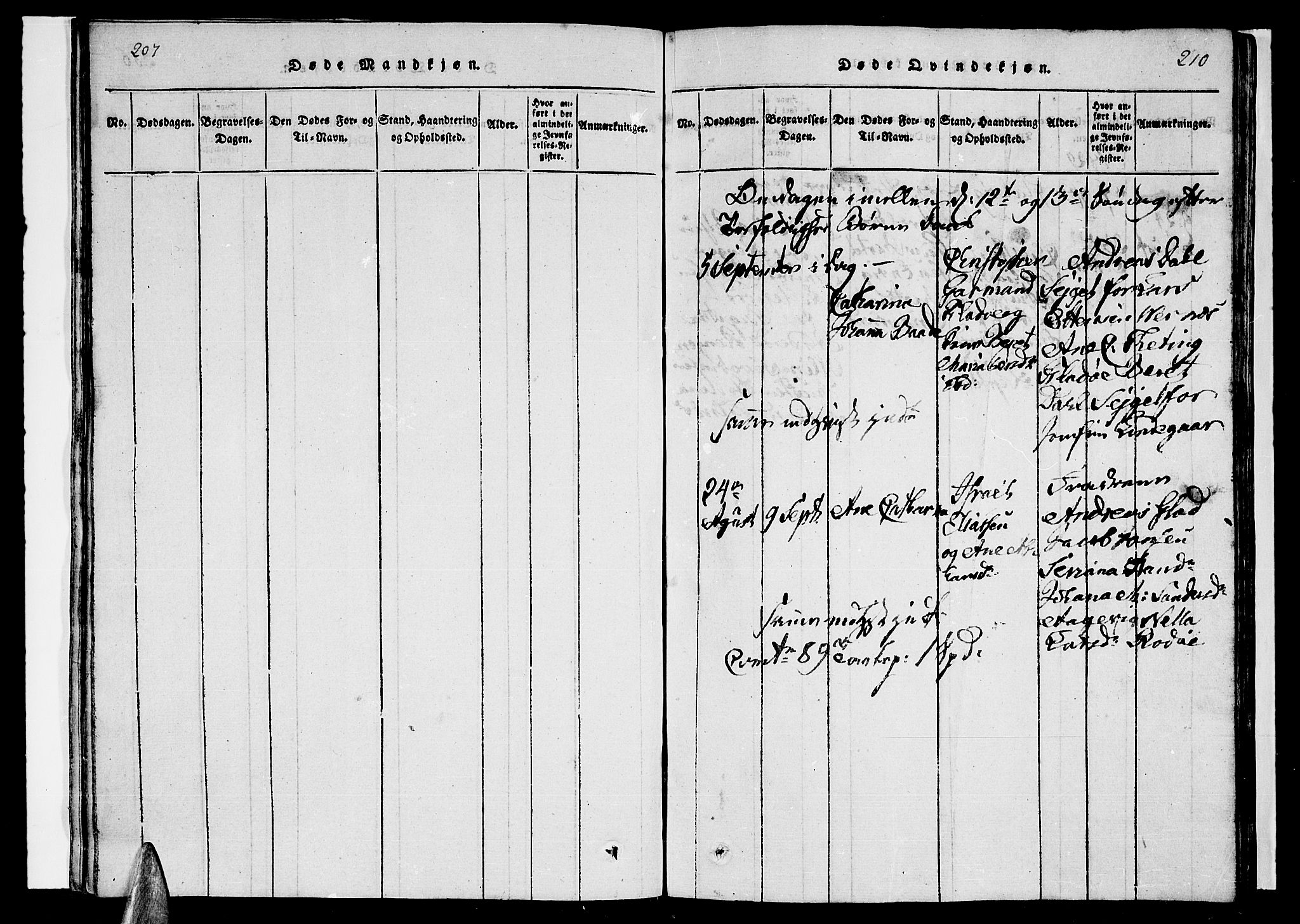 Ministerialprotokoller, klokkerbøker og fødselsregistre - Nordland, AV/SAT-A-1459/841/L0616: Parish register (copy) no. 841C01 /1, 1820-1832, p. 209-210