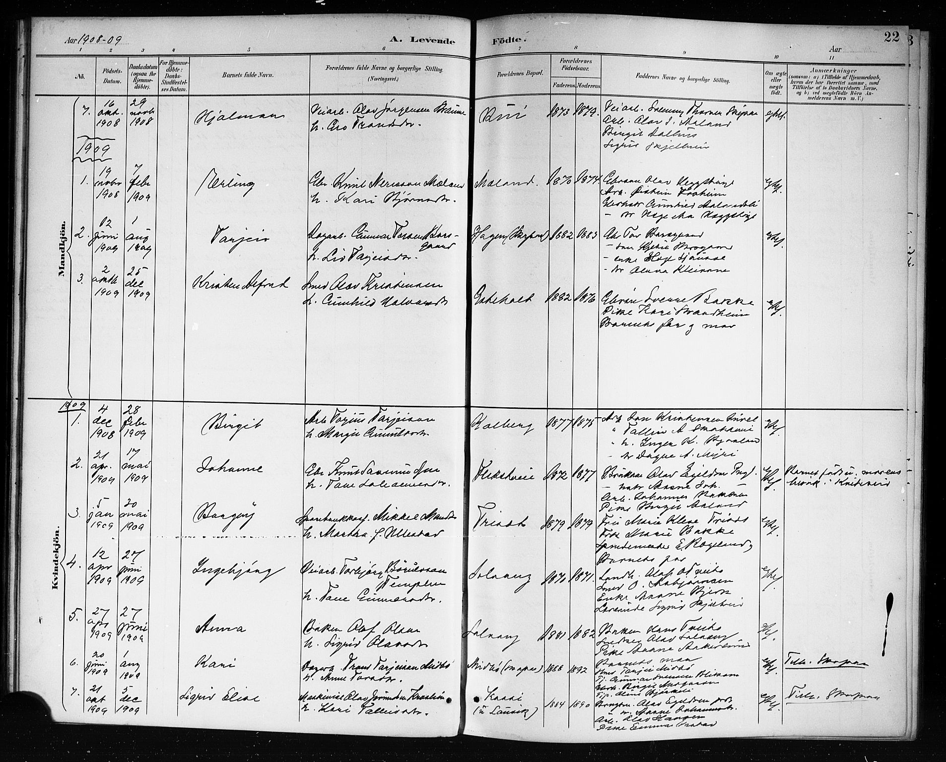 Lårdal kirkebøker, SAKO/A-284/G/Ga/L0003: Parish register (copy) no. I 3, 1891-1918, p. 22