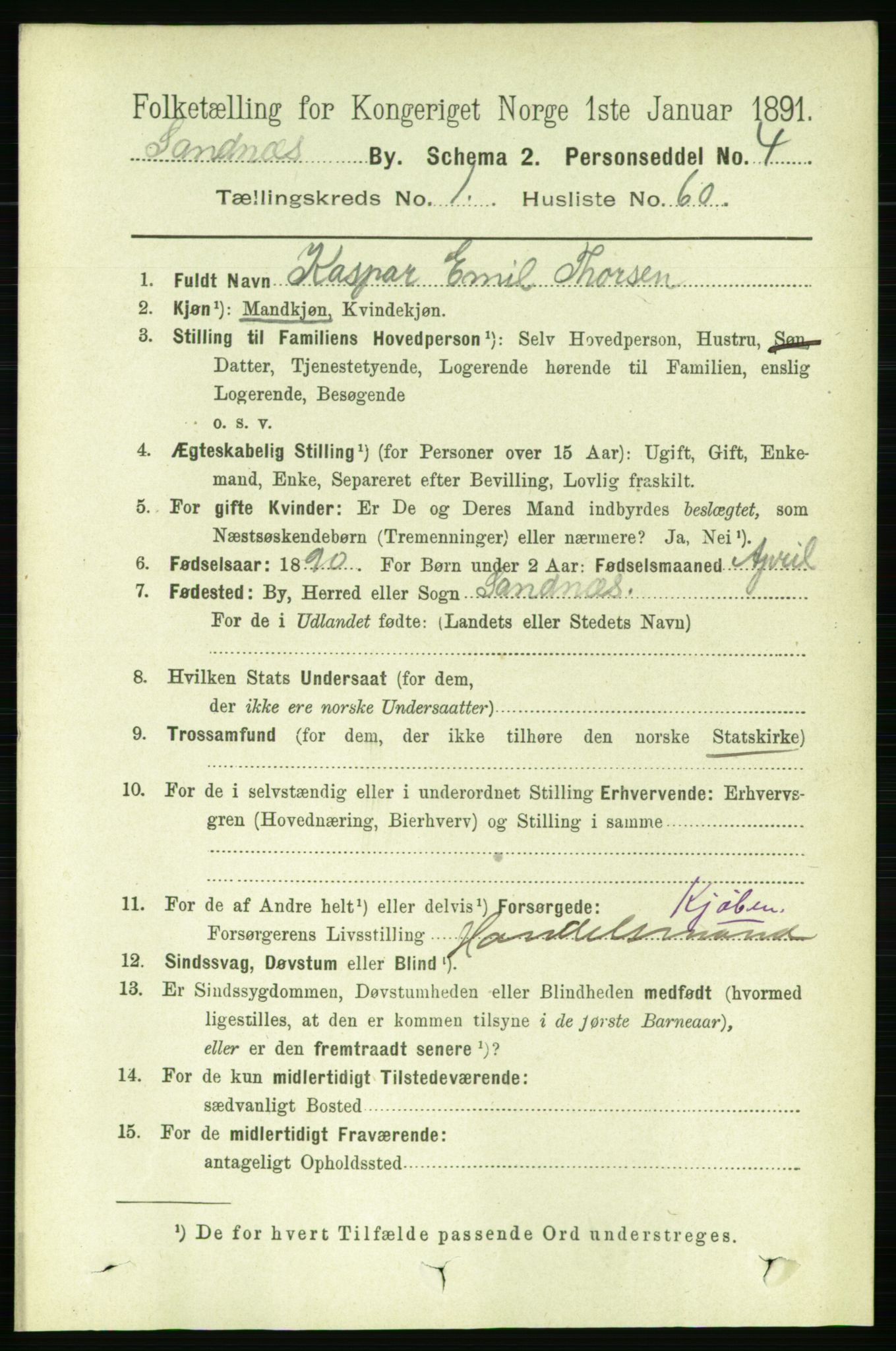 RA, 1891 census for 1102 Sandnes, 1891, p. 919