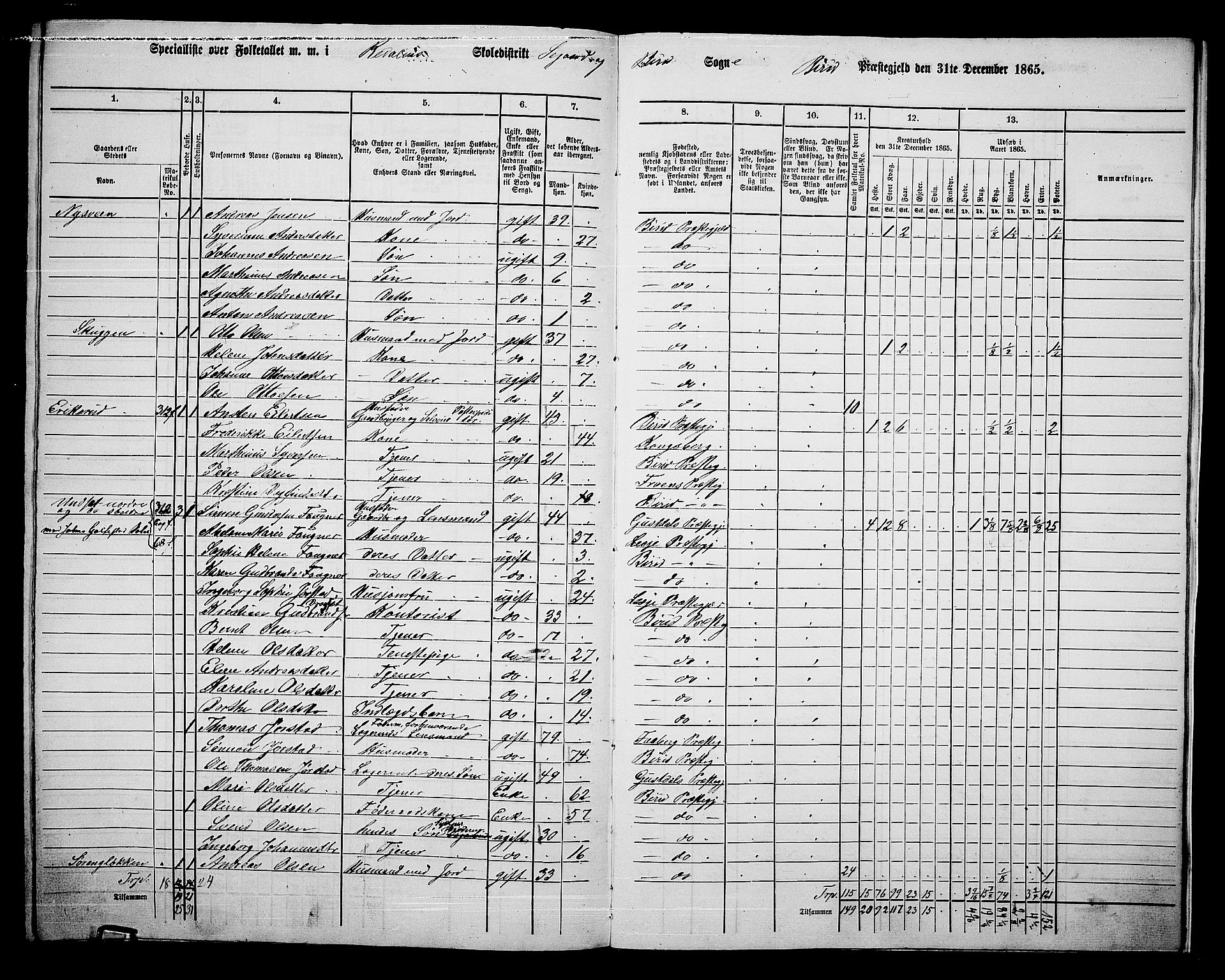 RA, 1865 census for Biri, 1865, p. 216