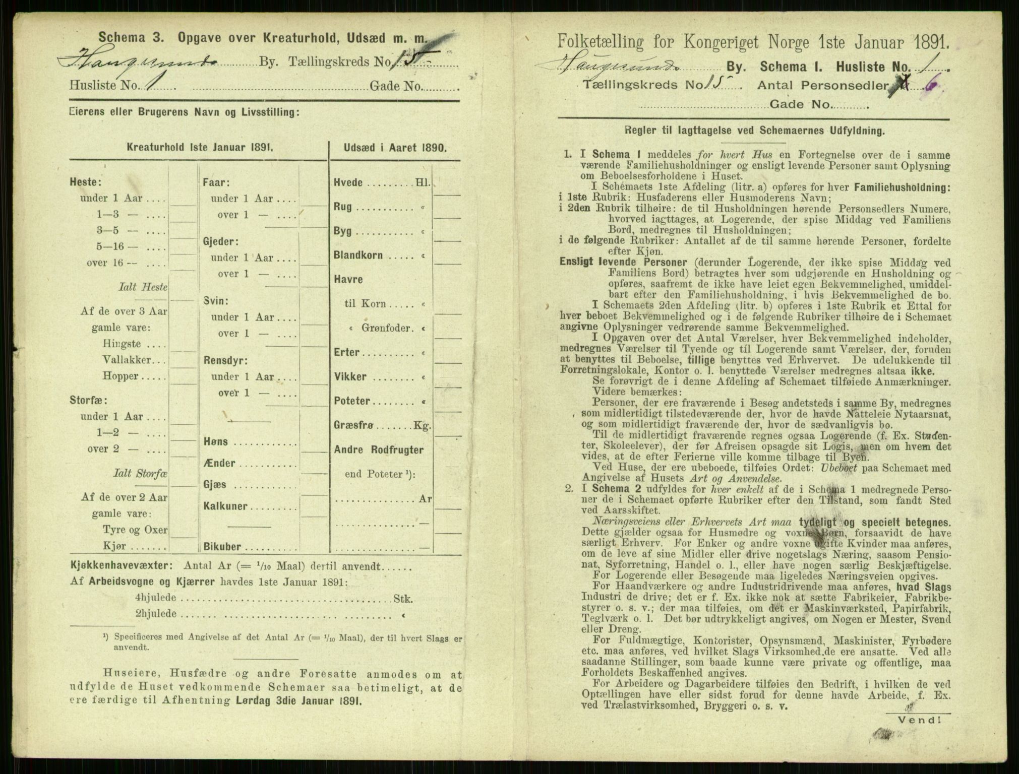 RA, 1891 census for 1106 Haugesund, 1891, p. 964