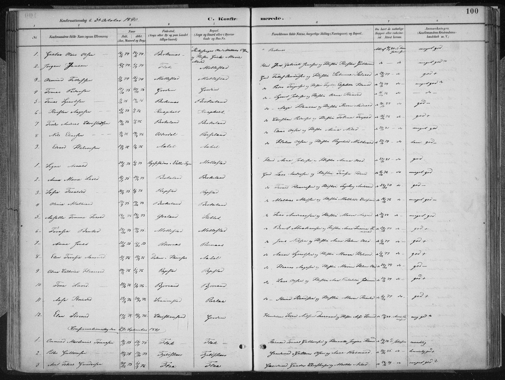 Birkenes sokneprestkontor, SAK/1111-0004/F/Fa/L0005: Parish register (official) no. A 5, 1887-1907, p. 100