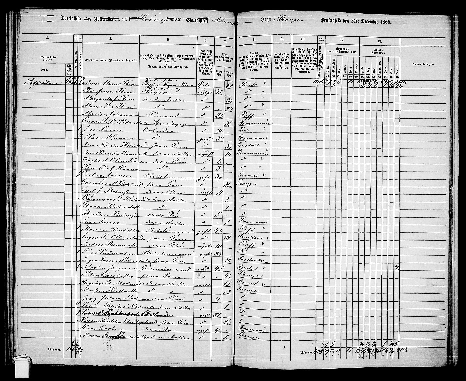 RA, 1865 census for Skoger, 1865, p. 155