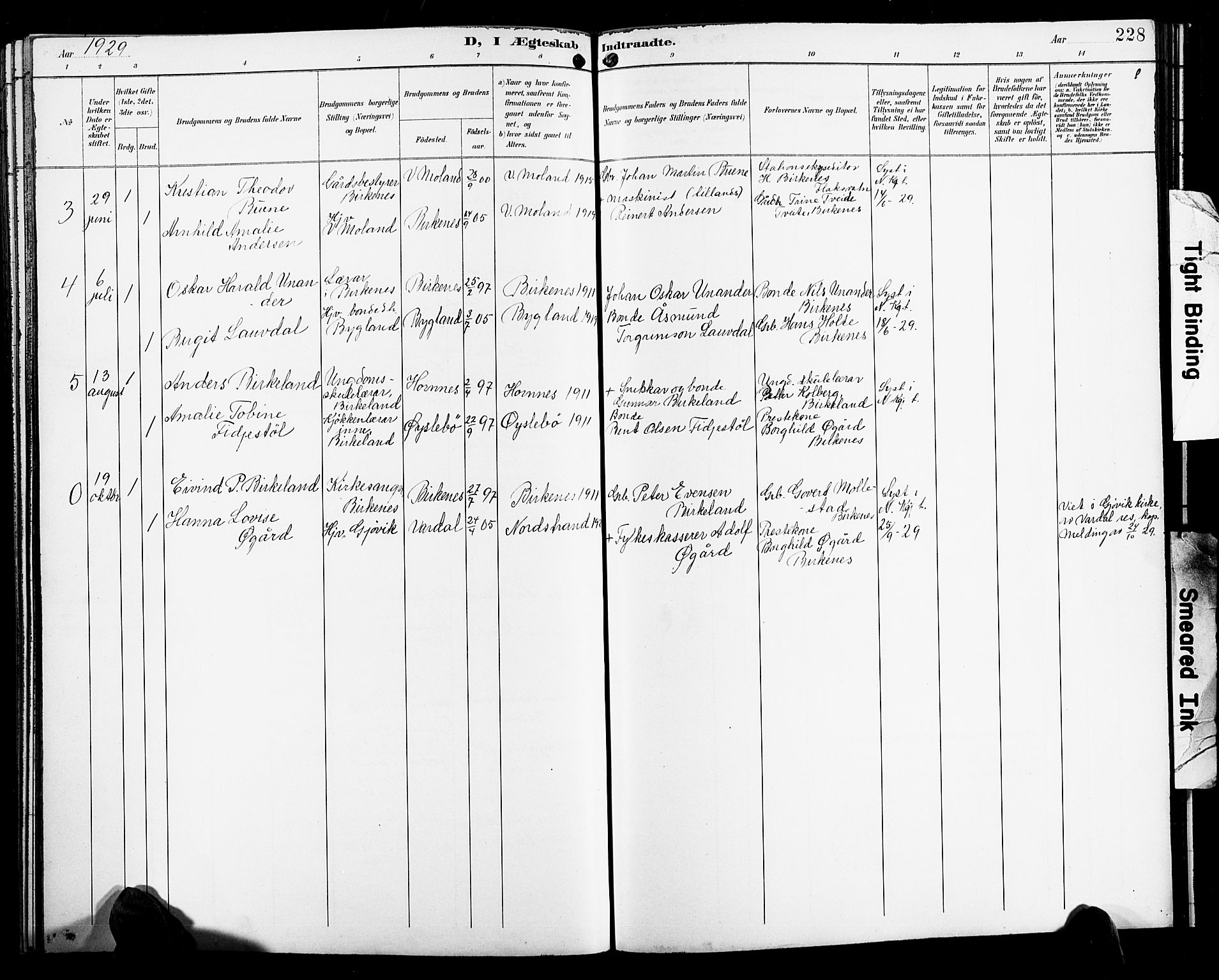 Birkenes sokneprestkontor, SAK/1111-0004/F/Fb/L0004: Parish register (copy) no. B 4, 1893-1930, p. 228