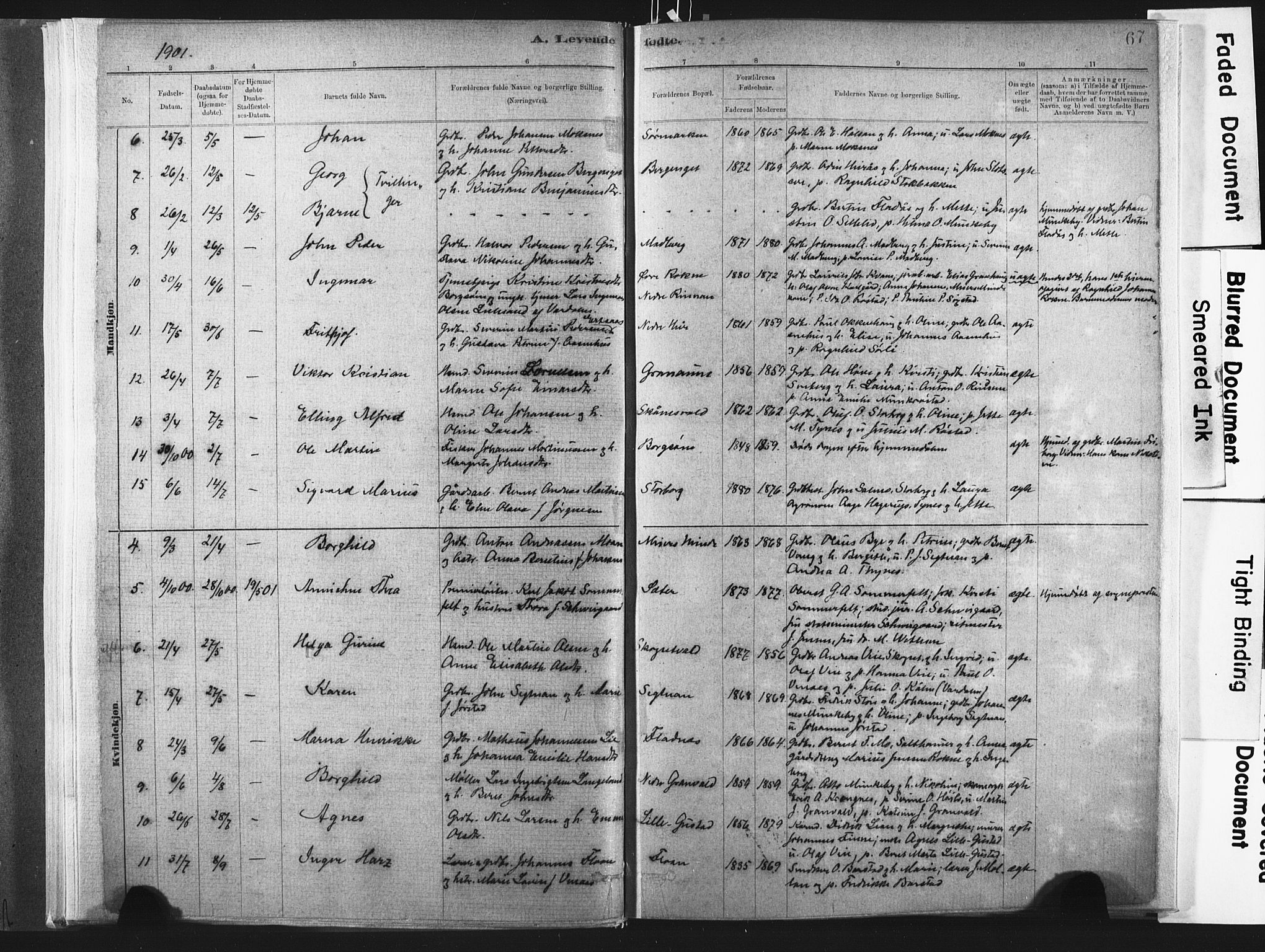 Ministerialprotokoller, klokkerbøker og fødselsregistre - Nord-Trøndelag, SAT/A-1458/721/L0207: Parish register (official) no. 721A02, 1880-1911, p. 67