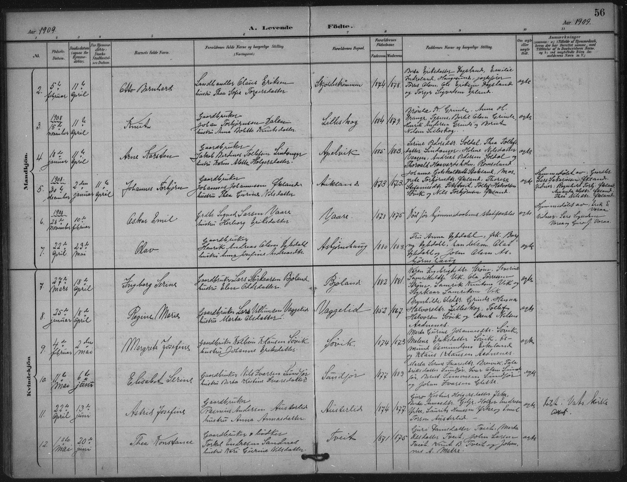 Skjold sokneprestkontor, AV/SAST-A-101847/H/Ha/Haa/L0011: Parish register (official) no. A 11, 1897-1914, p. 56