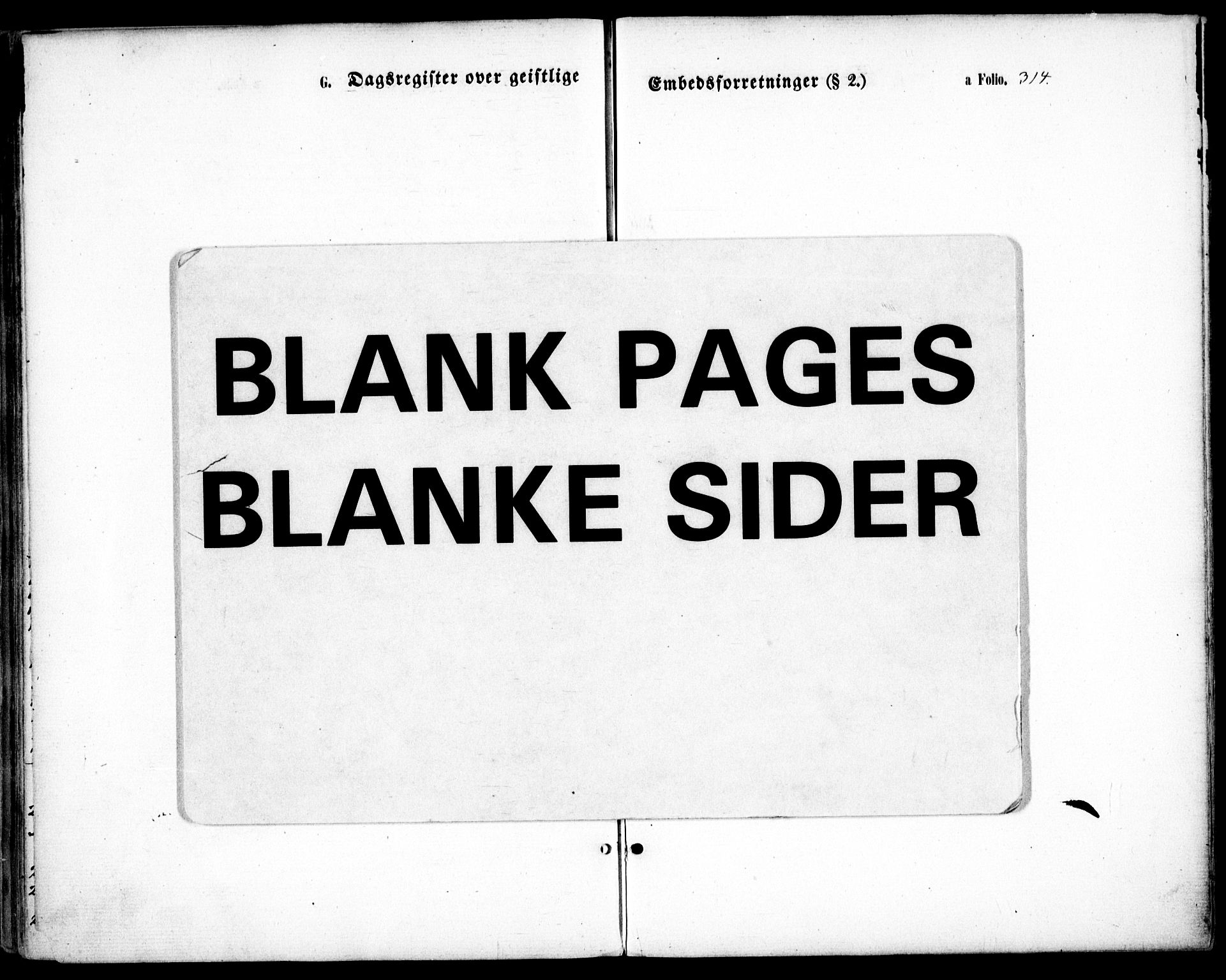 Hommedal sokneprestkontor, AV/SAK-1111-0023/F/Fa/Fab/L0005: Parish register (official) no. A 5, 1861-1877, p. 314