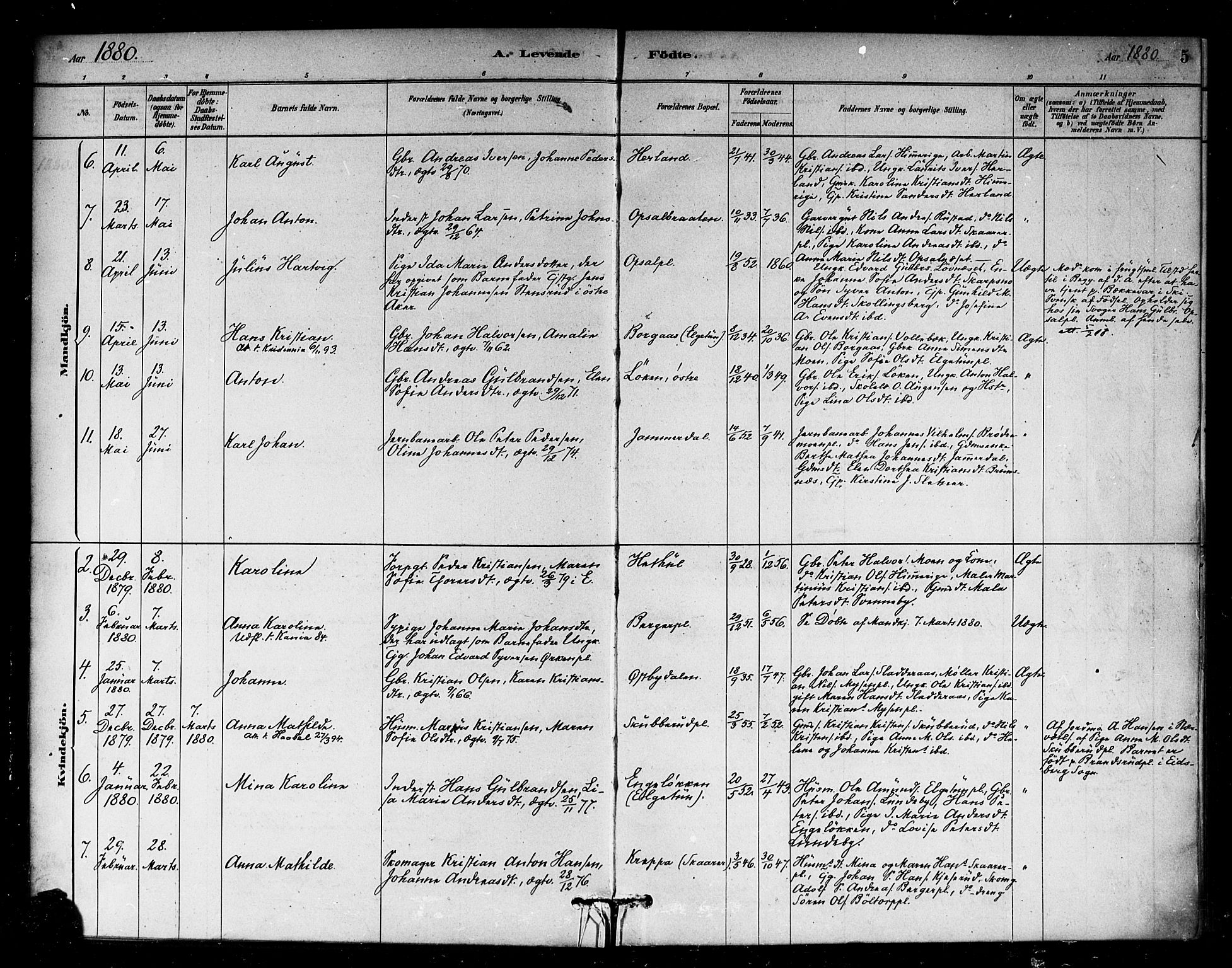 Eidsberg prestekontor Kirkebøker, SAO/A-10905/F/Fb/L0001: Parish register (official) no. II 1, 1879-1900, p. 5
