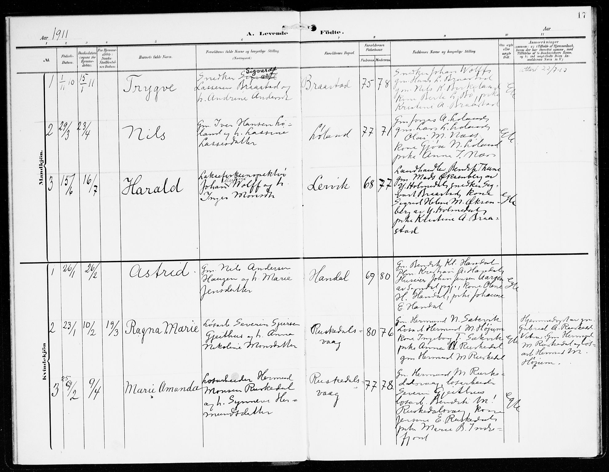 Hyllestad sokneprestembete, SAB/A-80401: Parish register (official) no. C 2, 1904-1917, p. 17