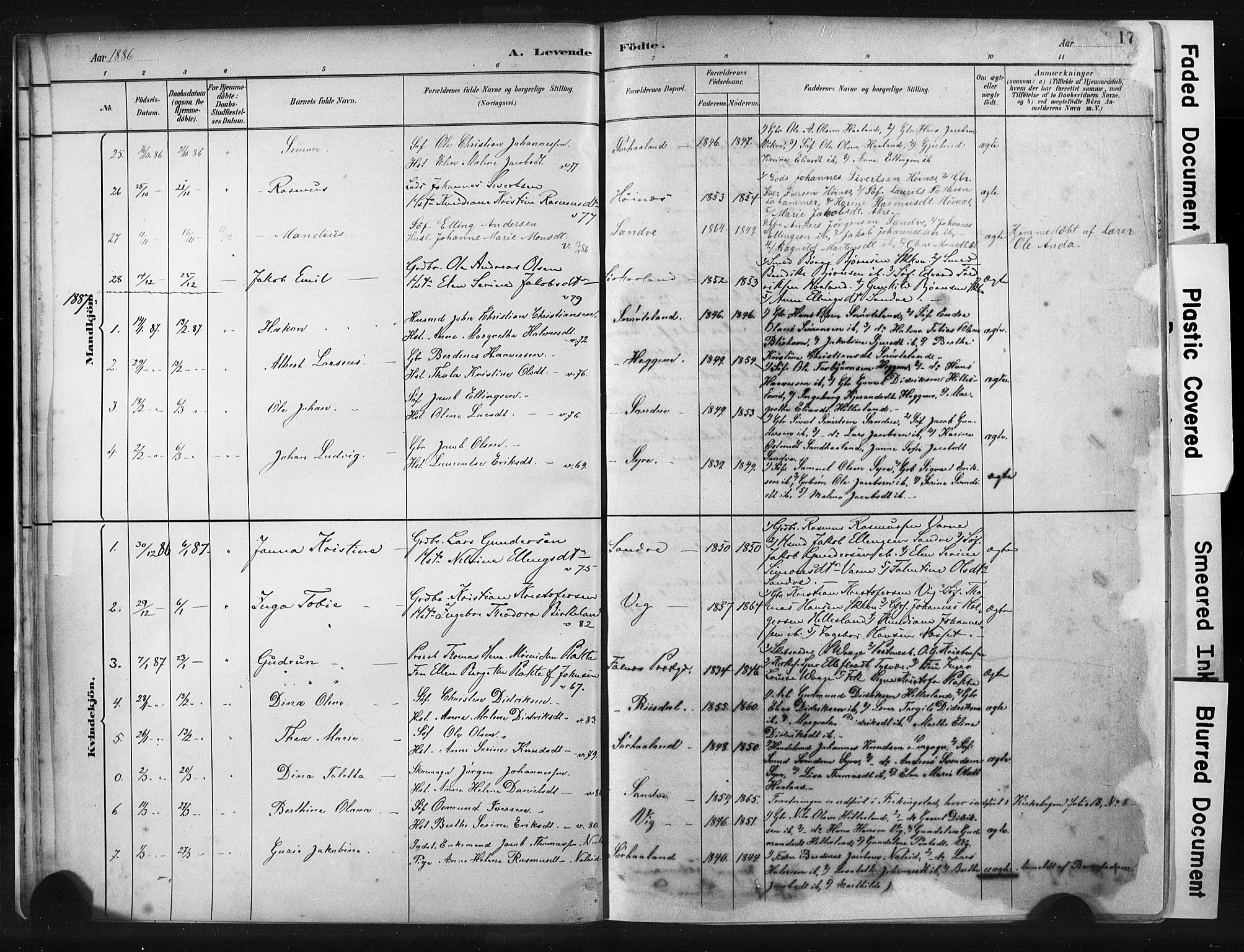 Skudenes sokneprestkontor, SAST/A -101849/H/Ha/Haa/L0009: Parish register (official) no. A 6, 1882-1912, p. 17