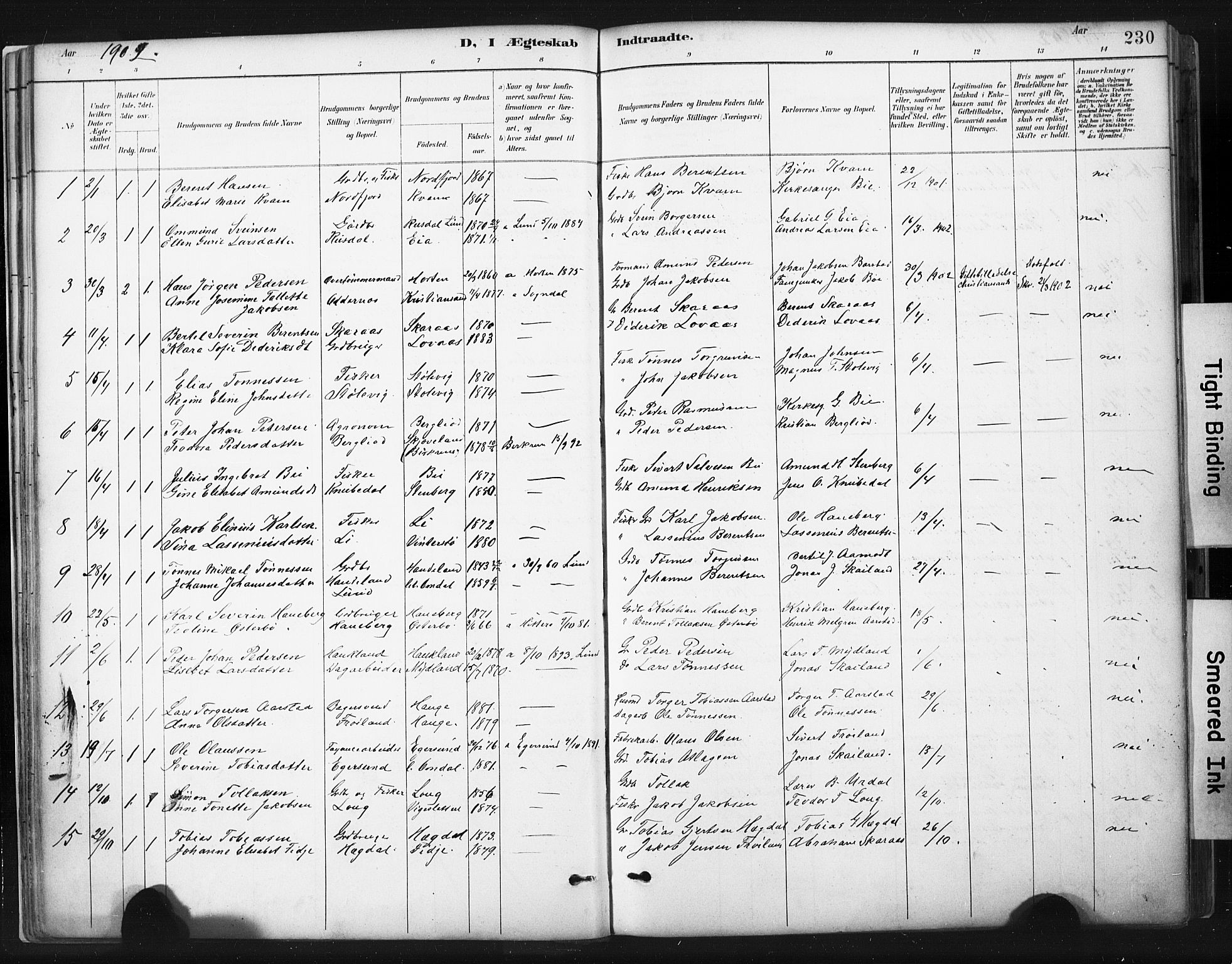 Sokndal sokneprestkontor, SAST/A-101808: Parish register (official) no. A 11.2, 1887-1905, p. 230