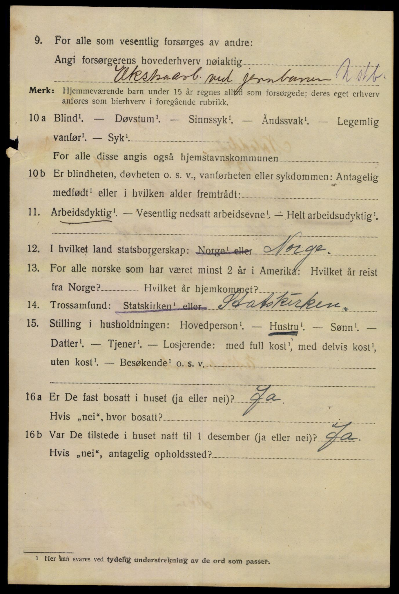 SAKO, 1920 census for Notodden, 1920, p. 9811