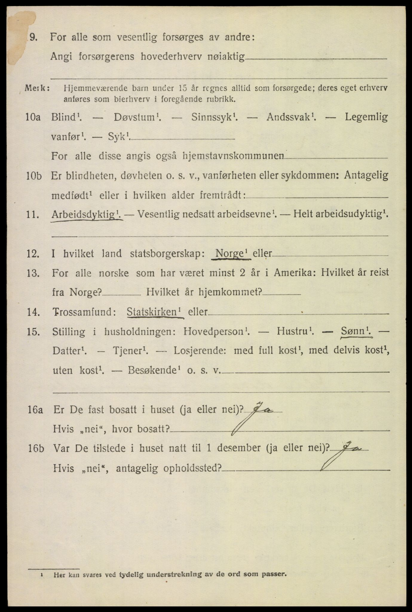 SAH, 1920 census for Tynset, 1920, p. 8019