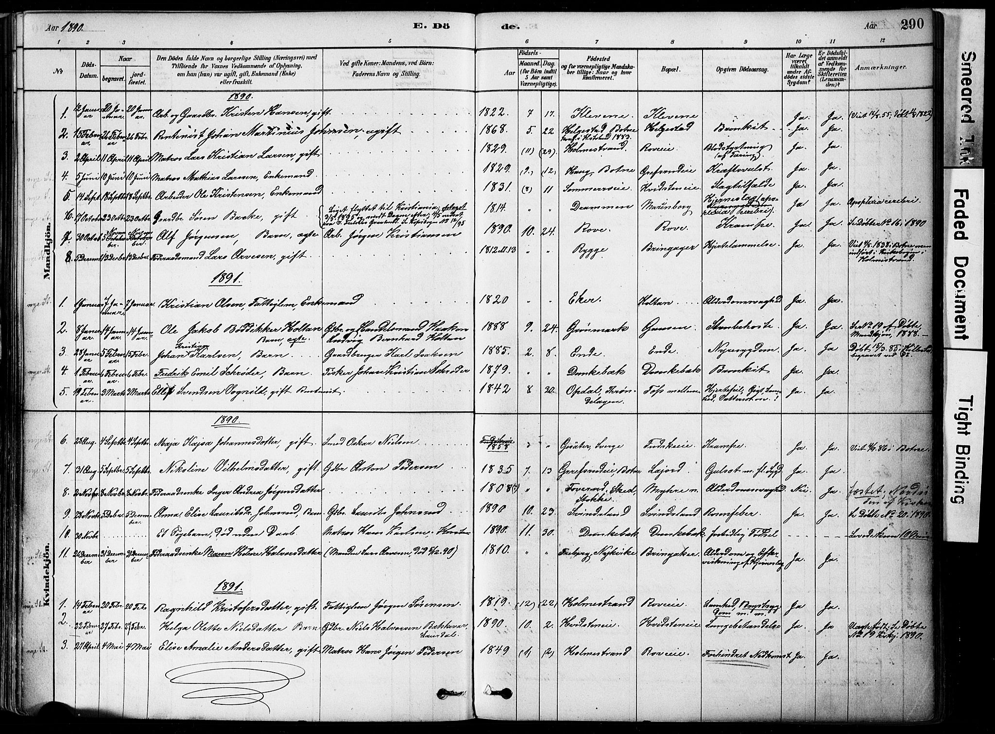 Botne kirkebøker, AV/SAKO-A-340/F/Fa/L0007: Parish register (official) no. I 7, 1878-1910, p. 290