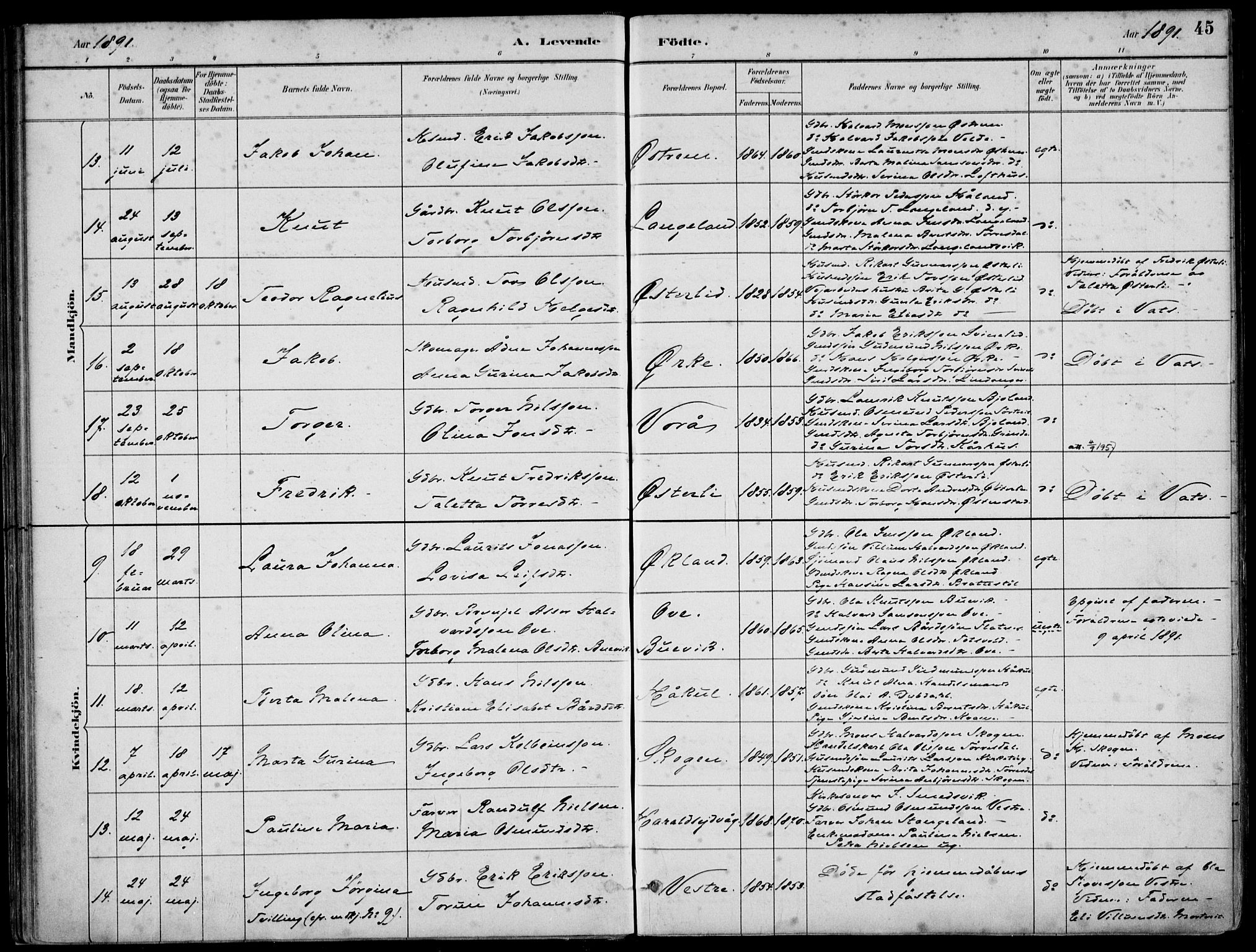 Skjold sokneprestkontor, AV/SAST-A-101847/H/Ha/Haa/L0010: Parish register (official) no. A 10, 1882-1897, p. 45