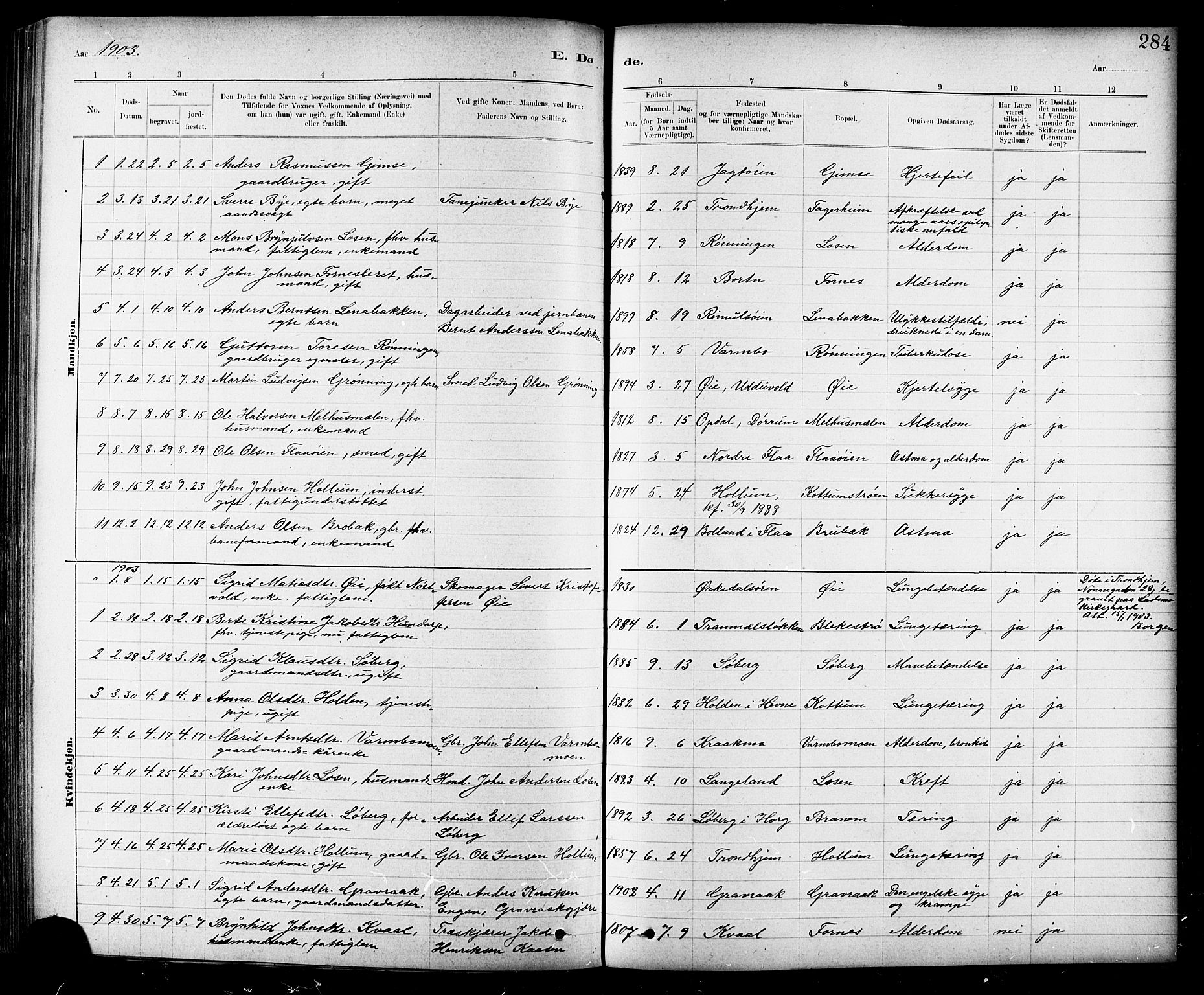 Ministerialprotokoller, klokkerbøker og fødselsregistre - Sør-Trøndelag, SAT/A-1456/691/L1094: Parish register (copy) no. 691C05, 1879-1911, p. 284