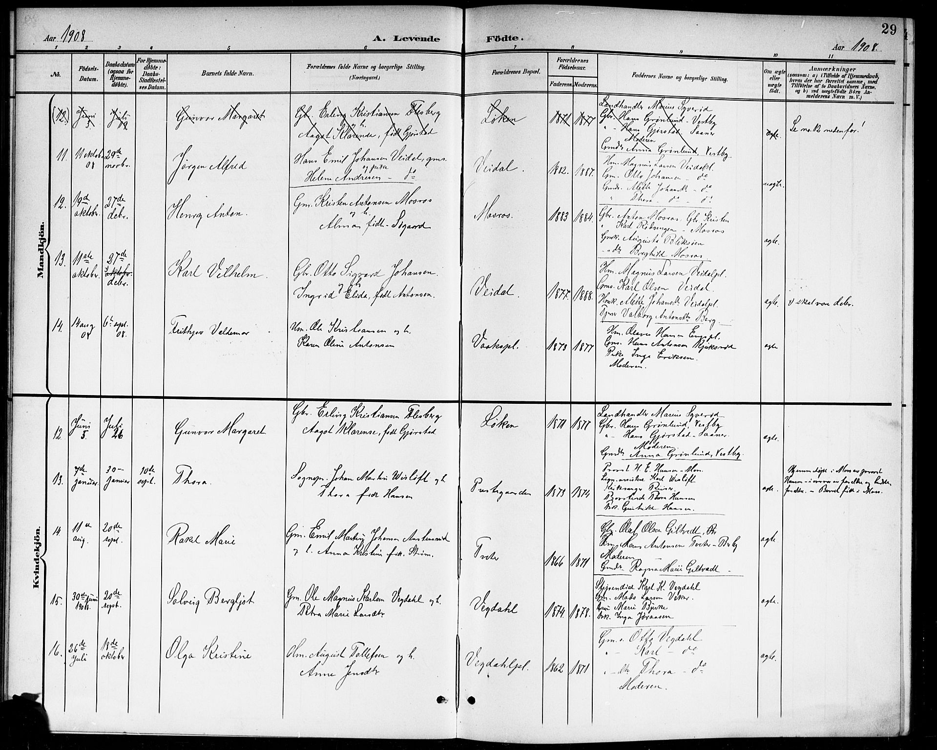 Våler prestekontor Kirkebøker, AV/SAO-A-11083/G/Ga/L0004: Parish register (copy) no. I 4, 1901-1914, p. 29