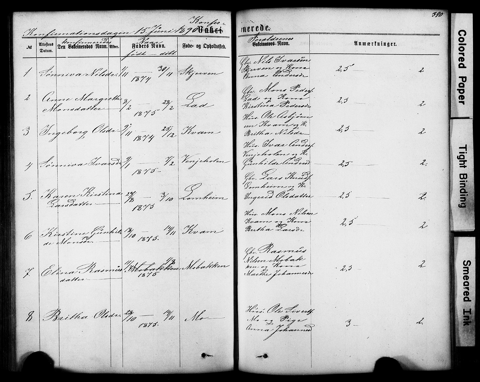 Hafslo sokneprestembete, AV/SAB-A-80301/H/Hab/Haba/L0001: Parish register (copy) no. A 1, 1866-1908, p. 390