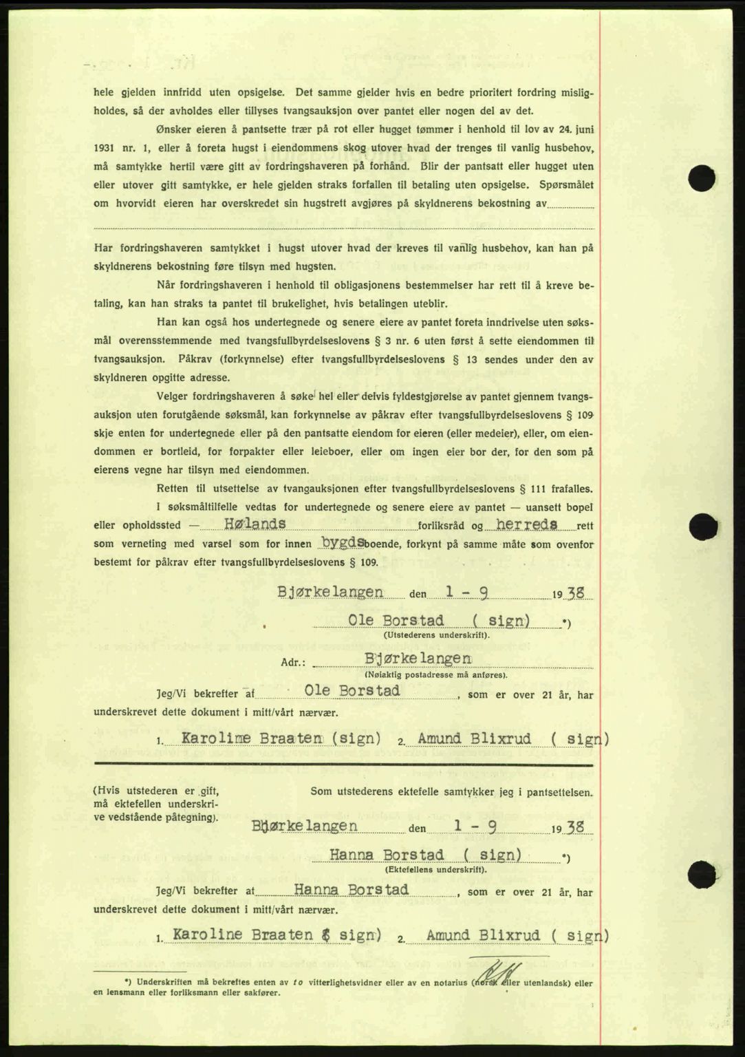 Nes tingrett, SAO/A-10548/G/Gb/Gbb/L0006: Mortgage book no. 50, 1938-1938, Diary no: : 1224/1938