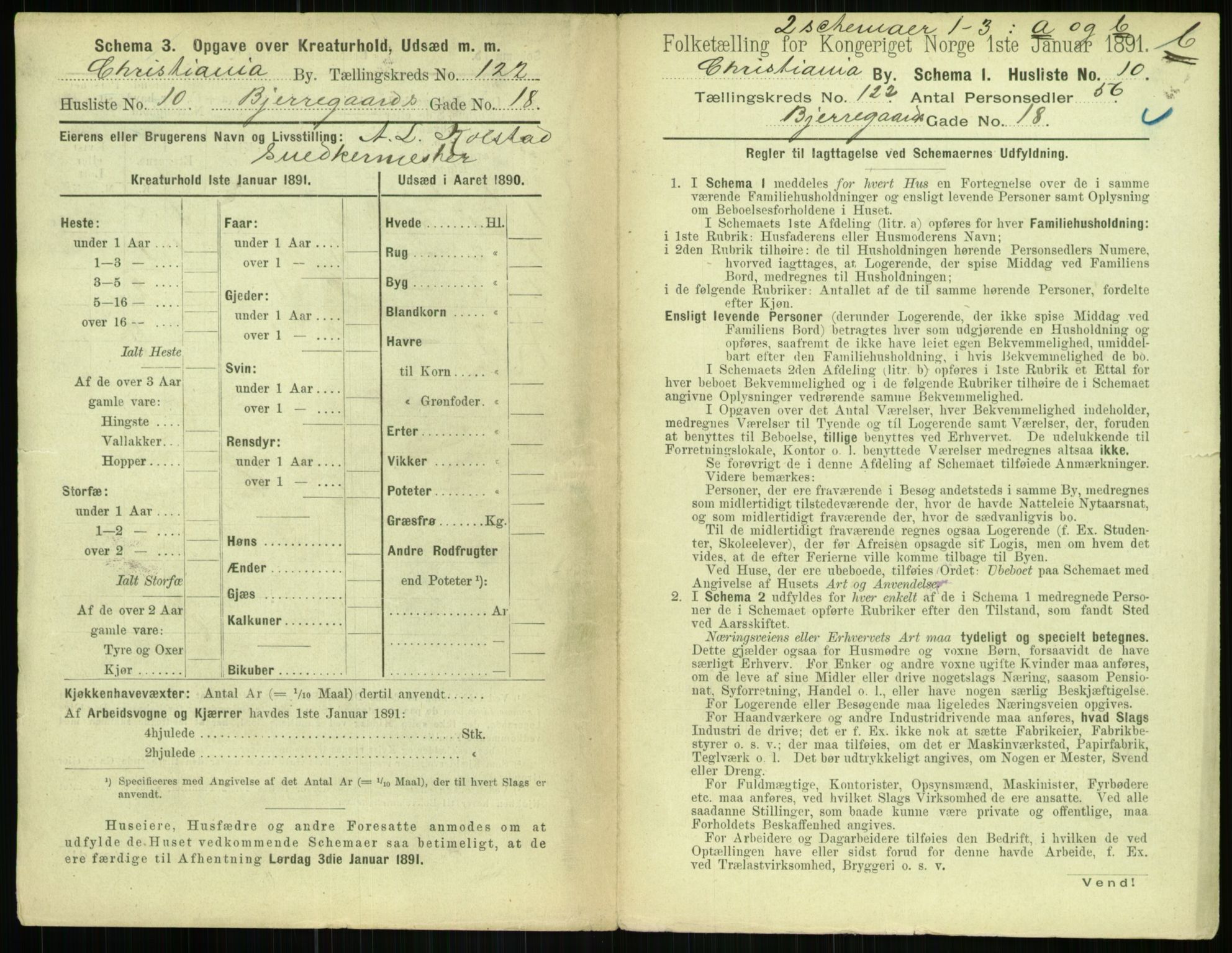 RA, 1891 census for 0301 Kristiania, 1891, p. 64615