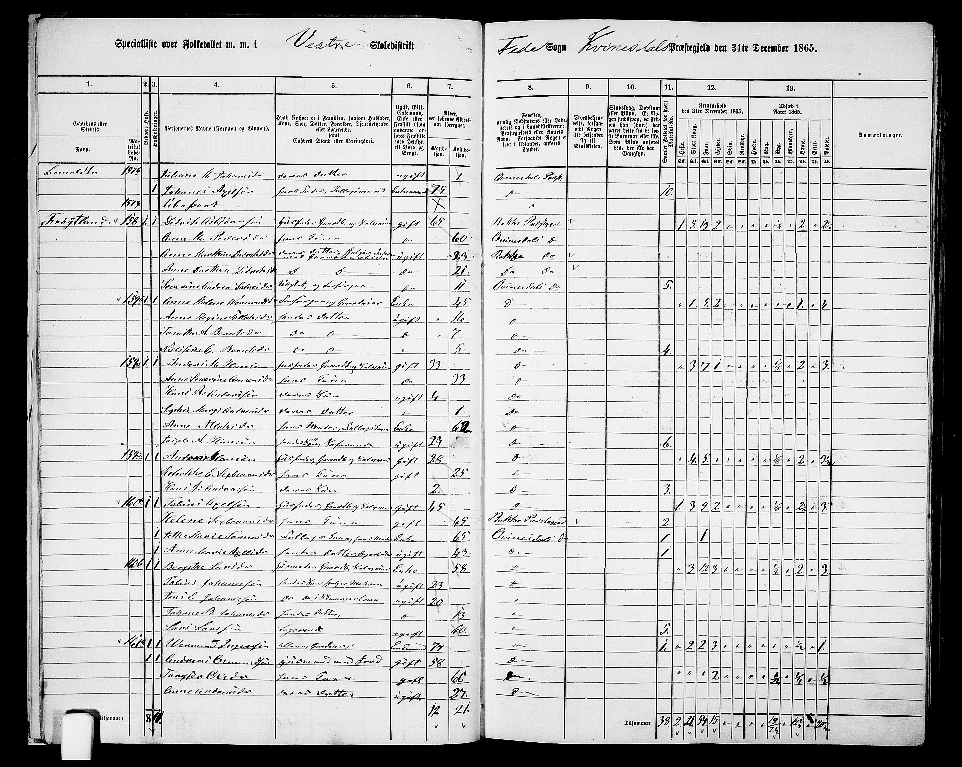 RA, 1865 census for Kvinesdal, 1865, p. 22