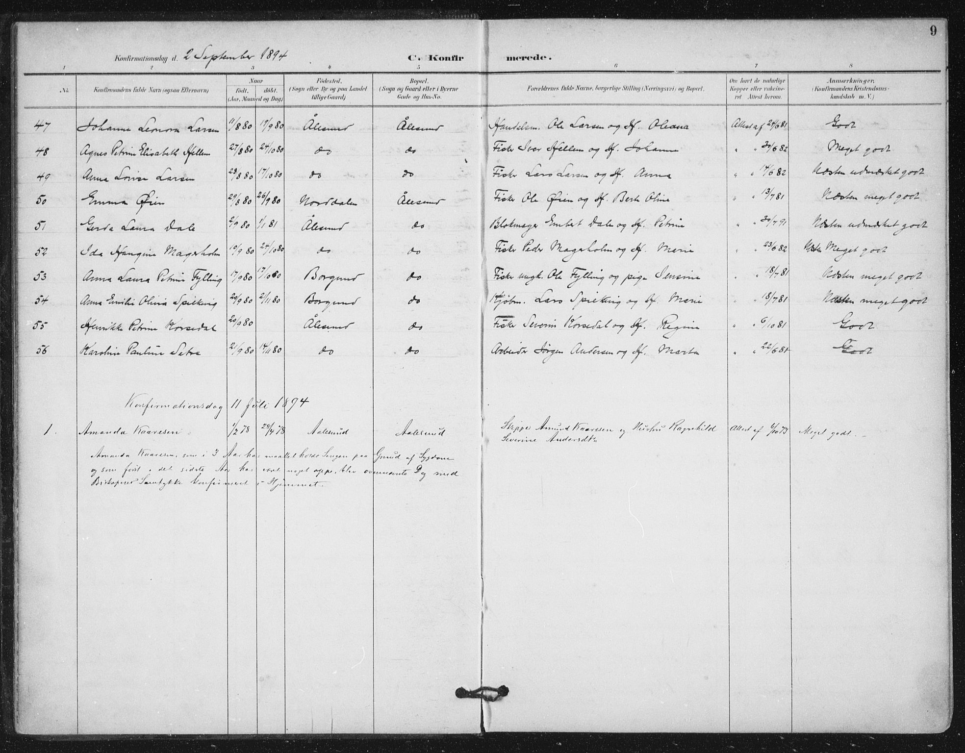 Ministerialprotokoller, klokkerbøker og fødselsregistre - Møre og Romsdal, AV/SAT-A-1454/529/L0457: Parish register (official) no. 529A07, 1894-1903, p. 9
