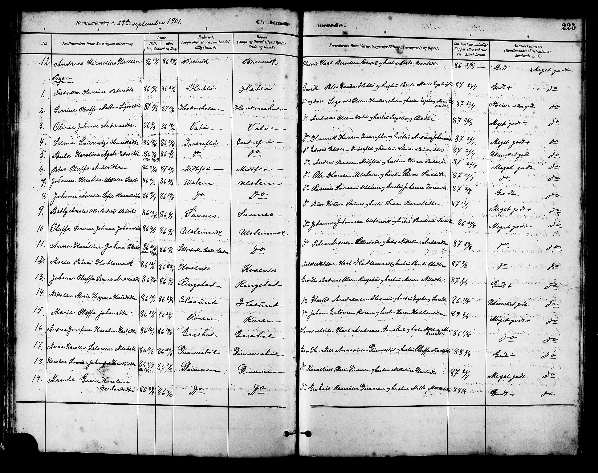 Ministerialprotokoller, klokkerbøker og fødselsregistre - Møre og Romsdal, SAT/A-1454/509/L0112: Parish register (copy) no. 509C02, 1883-1922, p. 225