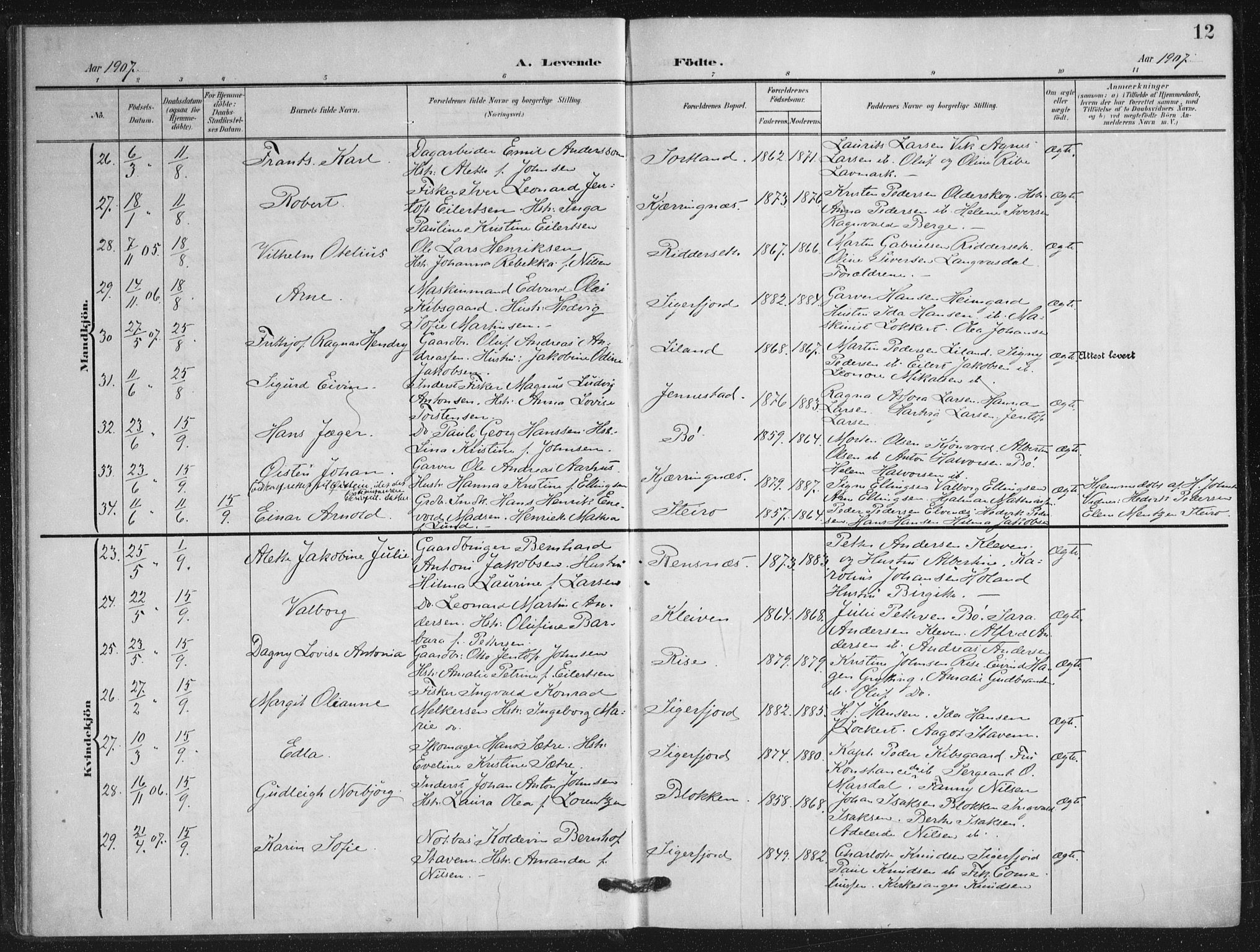 Ministerialprotokoller, klokkerbøker og fødselsregistre - Nordland, AV/SAT-A-1459/895/L1373: Parish register (official) no. 895A08, 1905-1915, p. 12