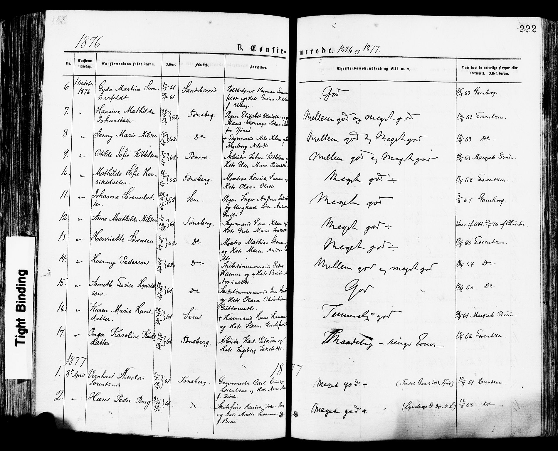 Tønsberg kirkebøker, SAKO/A-330/F/Fa/L0010: Parish register (official) no. I 10, 1874-1880, p. 222