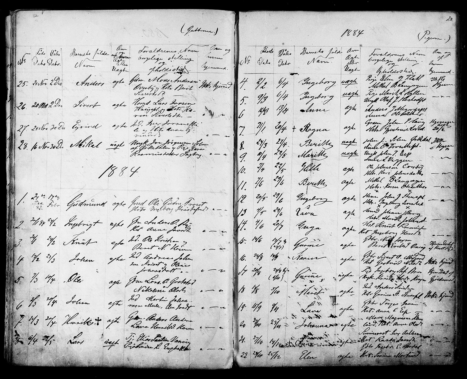 Ministerialprotokoller, klokkerbøker og fødselsregistre - Sør-Trøndelag, SAT/A-1456/612/L0387: Parish register (copy) no. 612C03, 1874-1908, p. 24