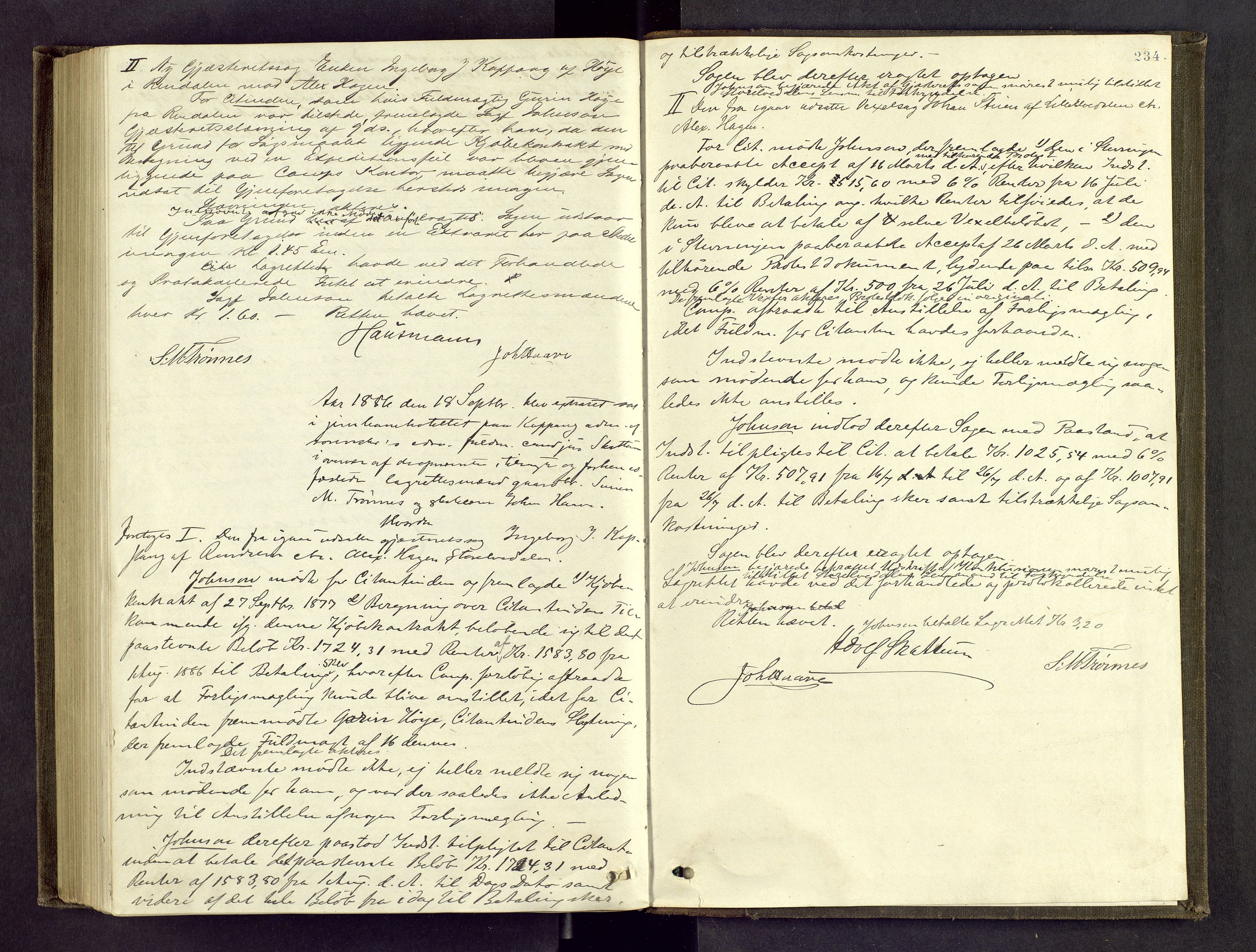 Sør-Østerdal sorenskriveri, AV/SAH-TING-018/G/Gc/L0014: Ekstrarettsprotokoll, 1876-1886, p. 233b-234a