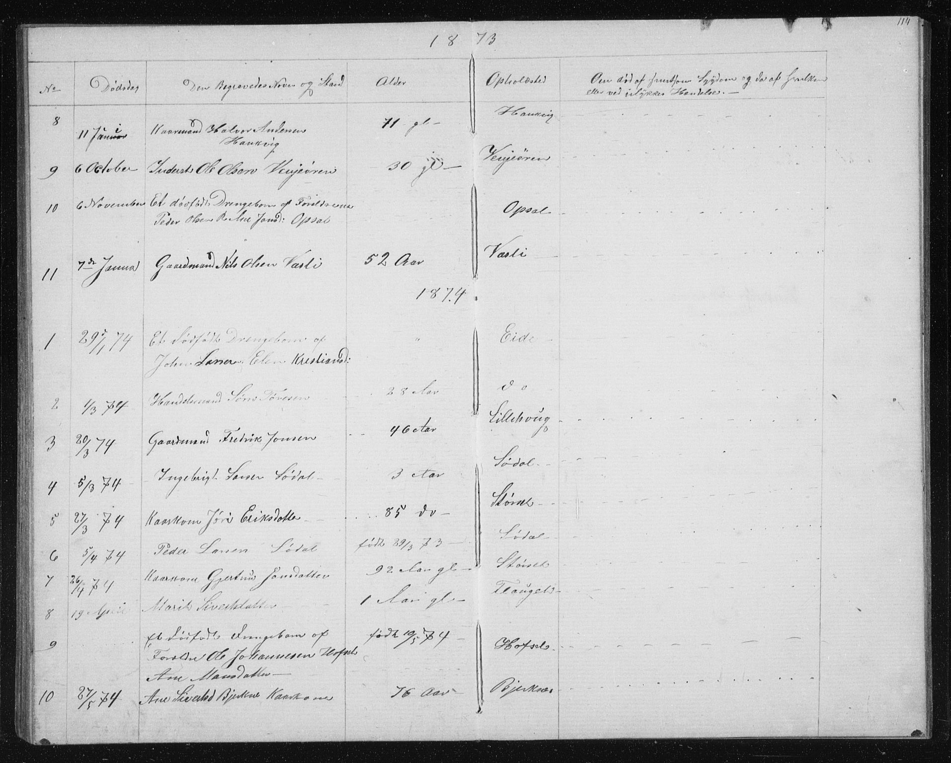 Ministerialprotokoller, klokkerbøker og fødselsregistre - Sør-Trøndelag, SAT/A-1456/631/L0513: Parish register (copy) no. 631C01, 1869-1879, p. 114