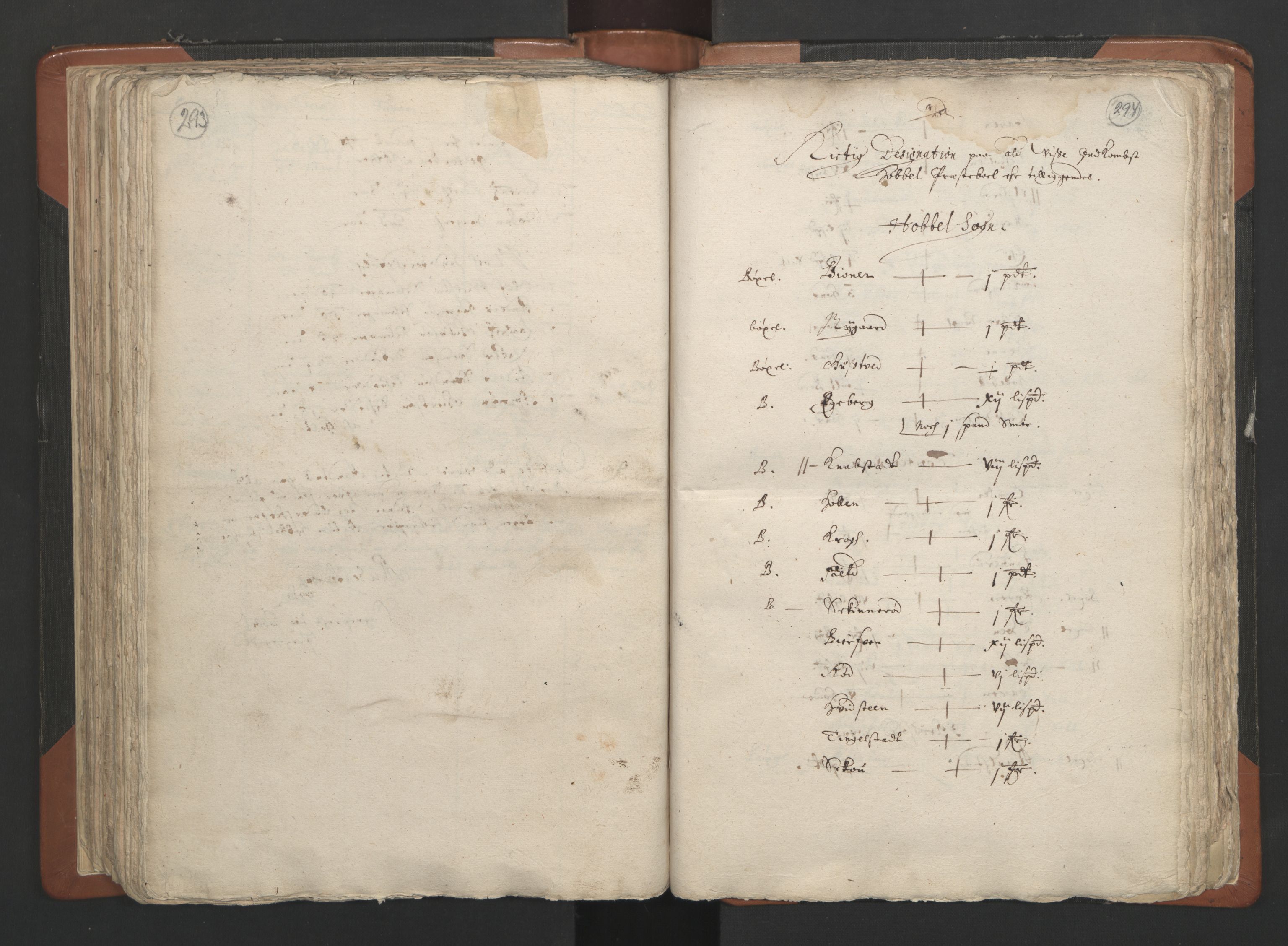 RA, Vicar's Census 1664-1666, no. 2: Øvre Borgesyssel deanery, 1664-1666, p. 293-294