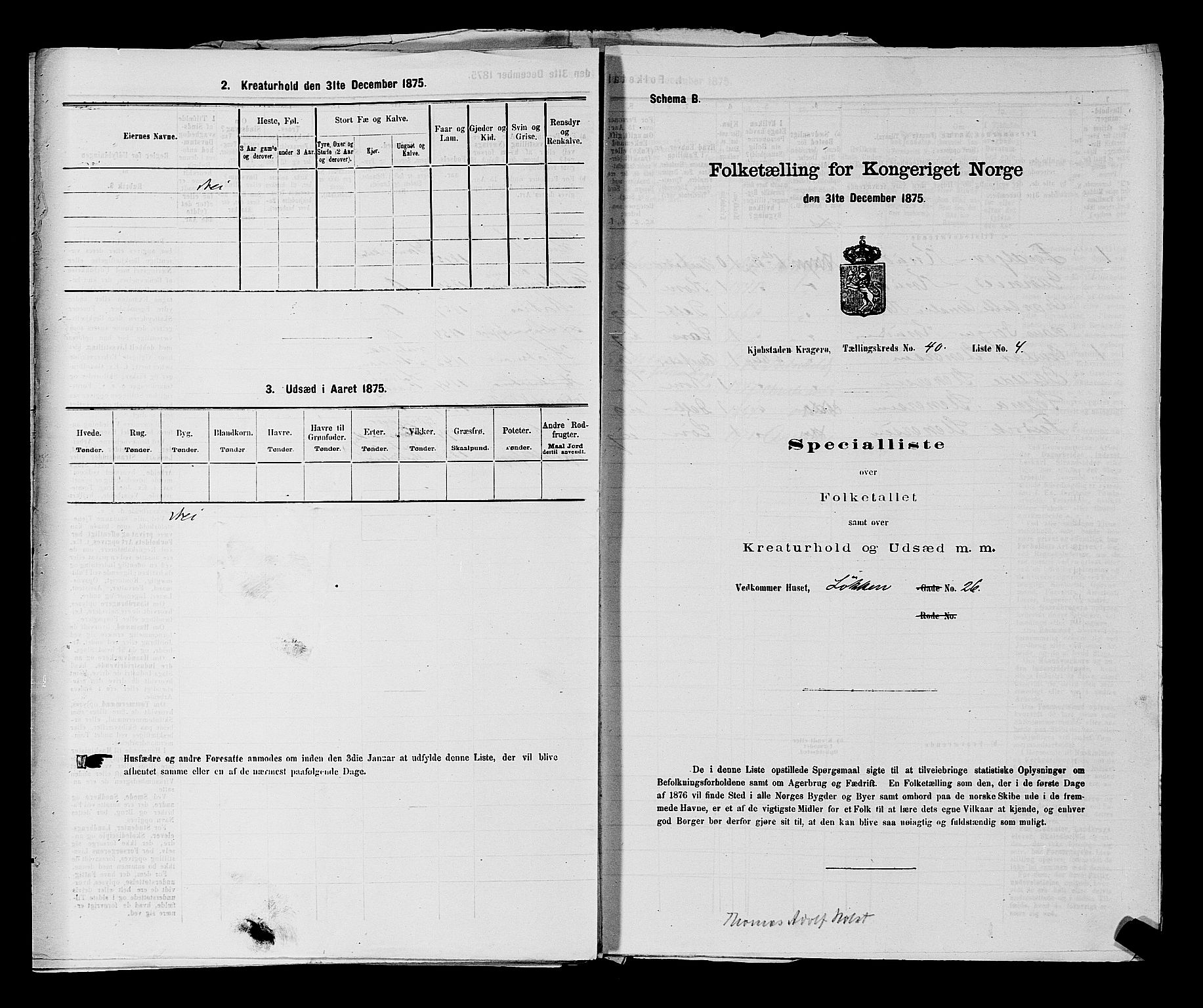 SAKO, 1875 census for 0801P Kragerø, 1875, p. 876