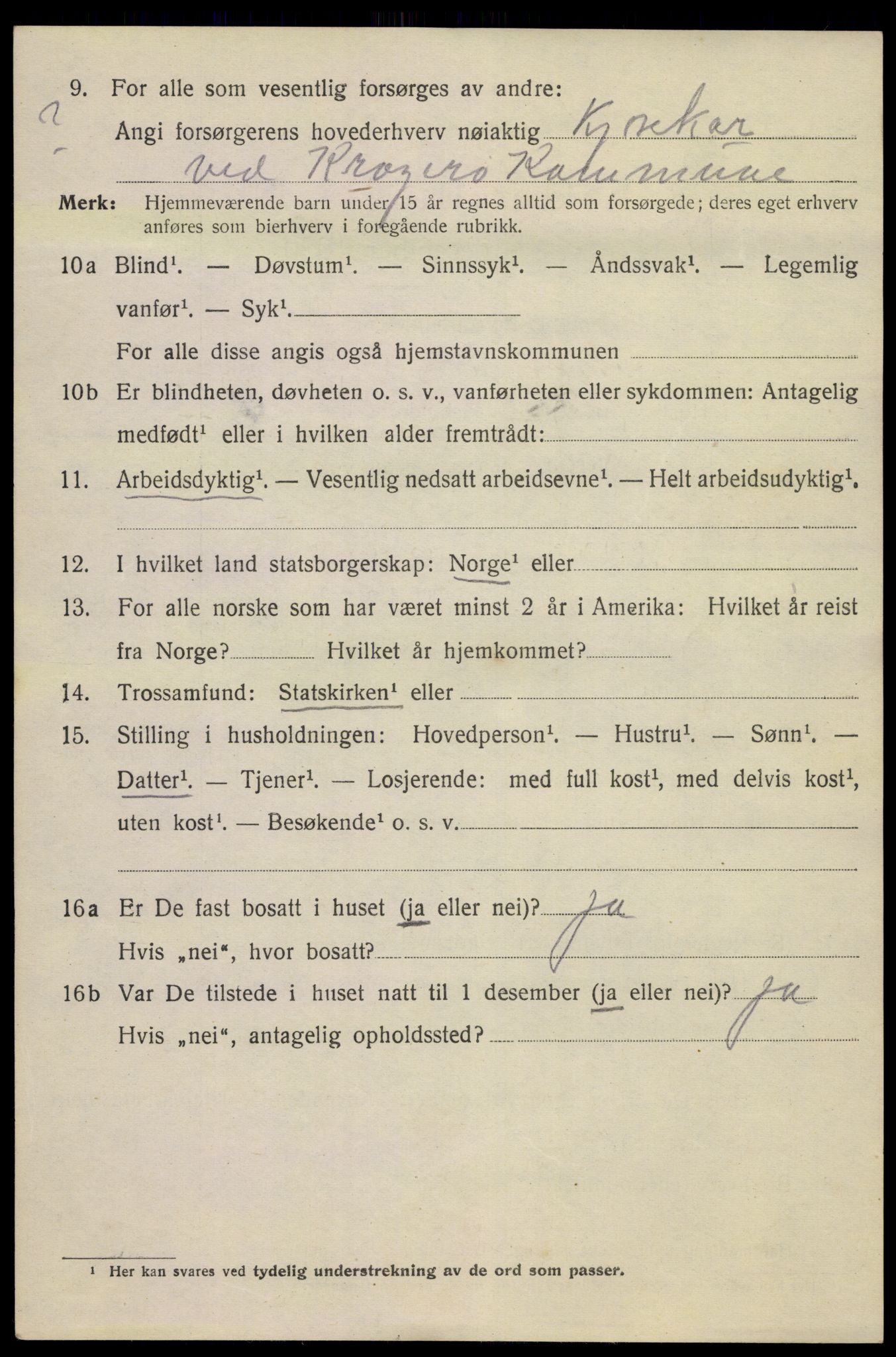 SAKO, 1920 census for Kragerø, 1920, p. 8238