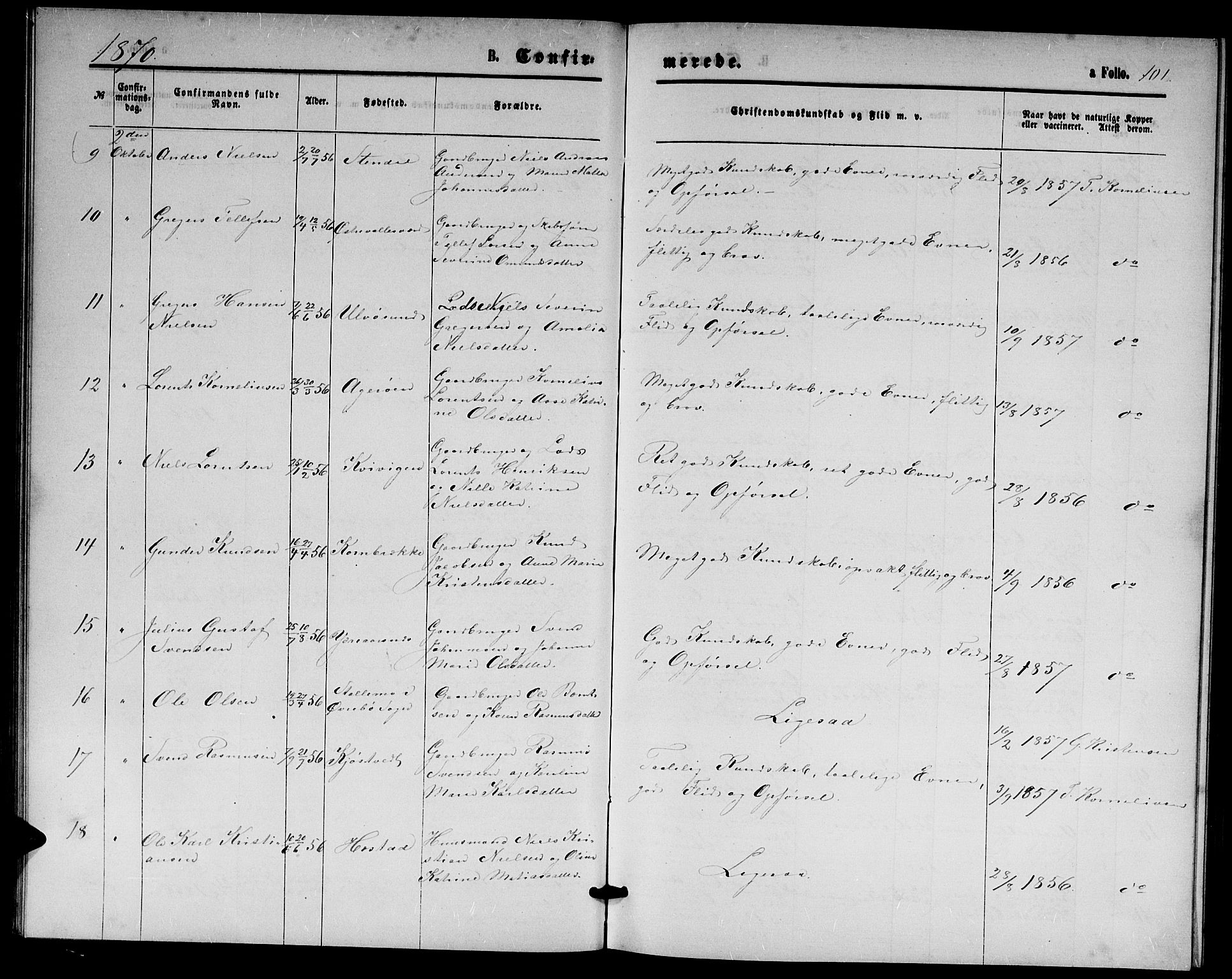 Høvåg sokneprestkontor, SAK/1111-0025/F/Fb/L0003: Parish register (copy) no. B 3, 1870-1882, p. 101