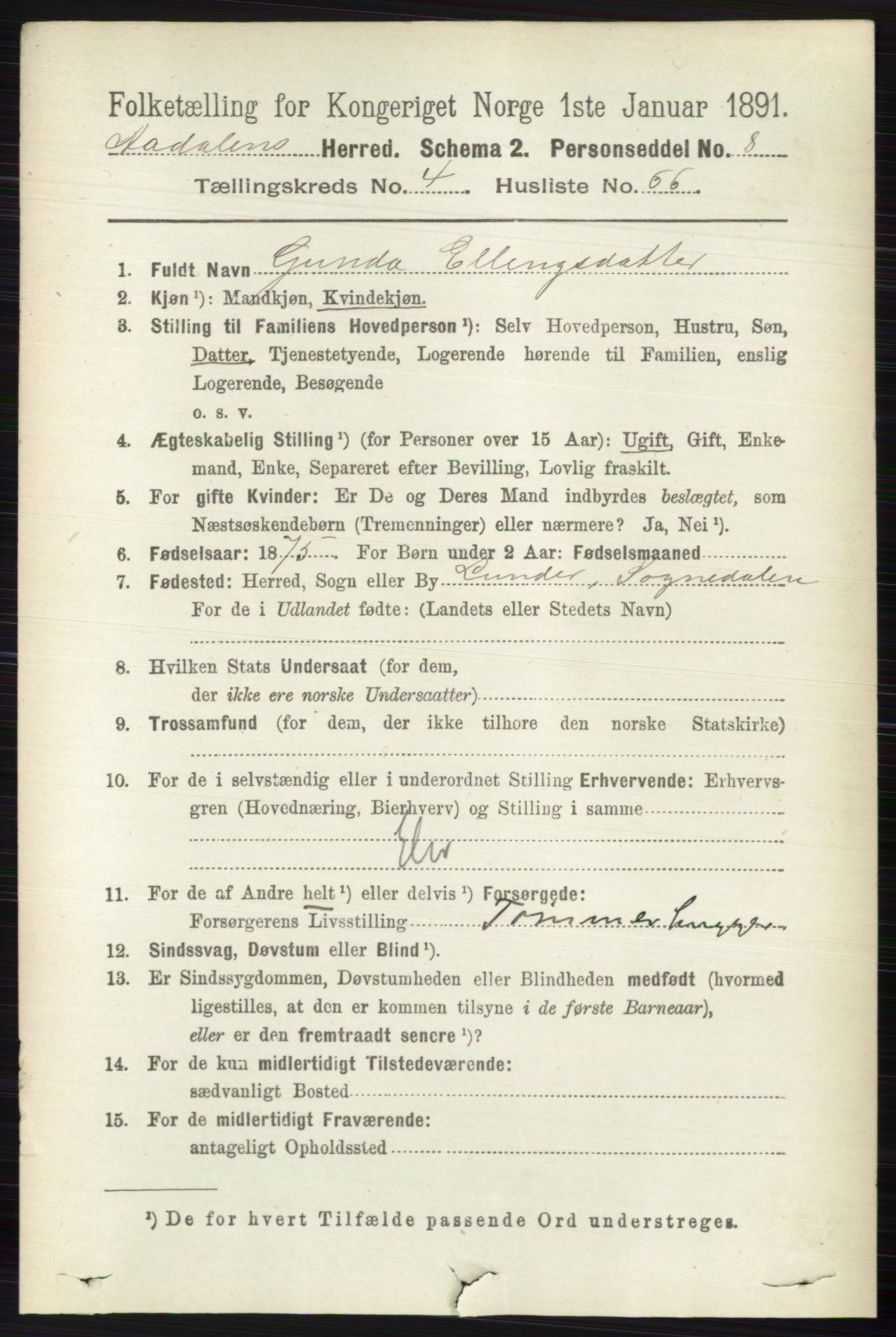 RA, 1891 census for 0614 Ådal, 1891, p. 1916