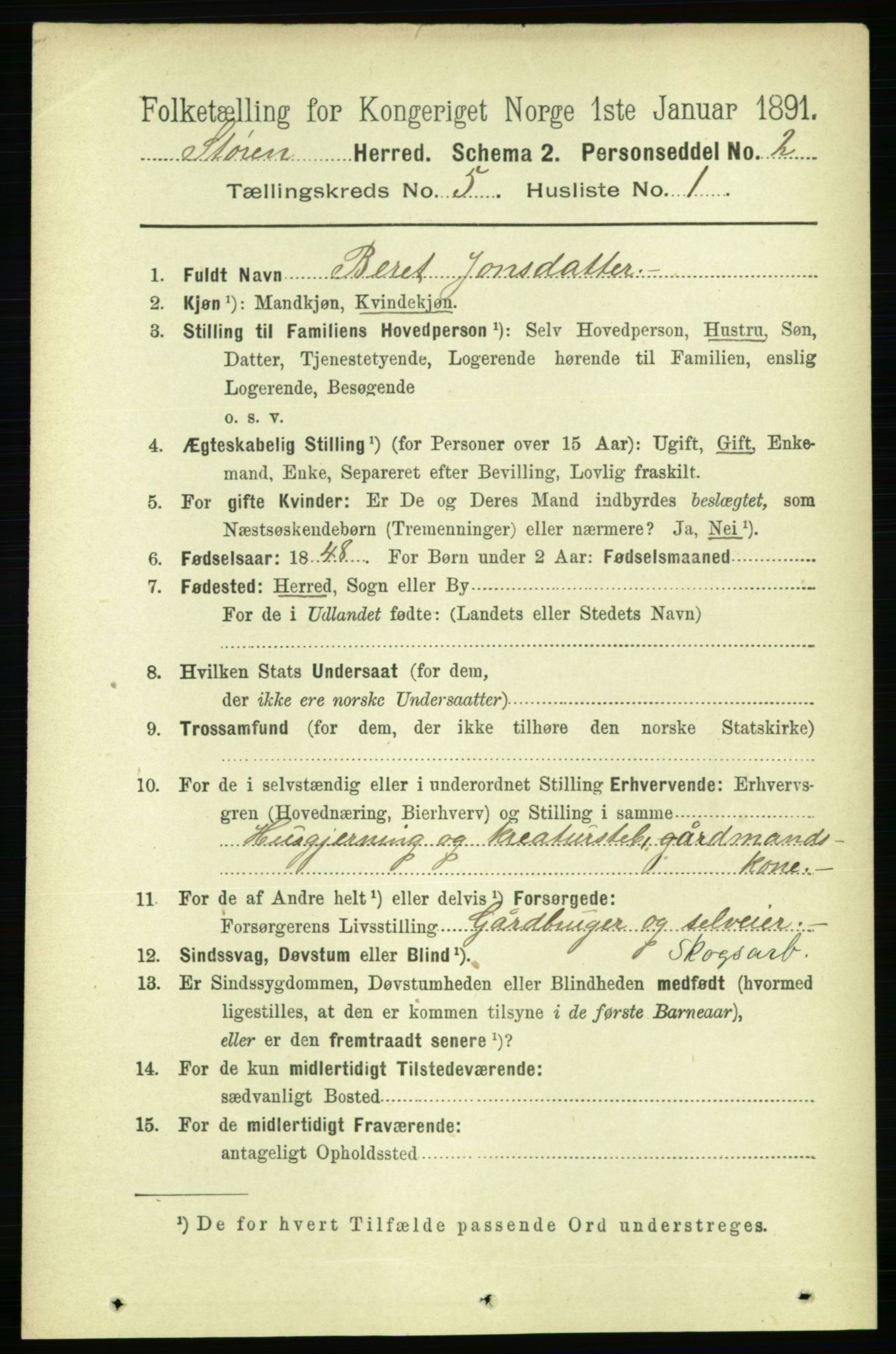 RA, 1891 census for 1648 Støren, 1891, p. 1931