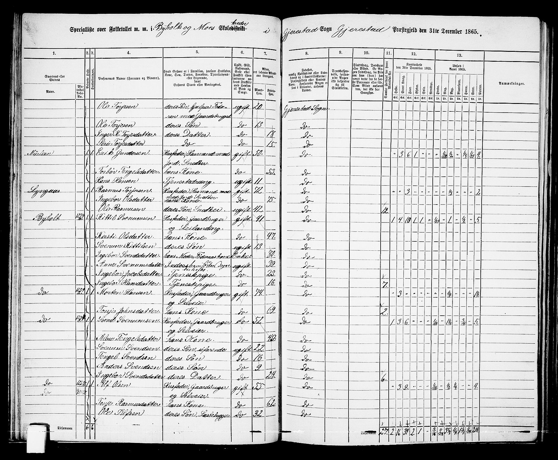 RA, 1865 census for Gjerstad, 1865, p. 38