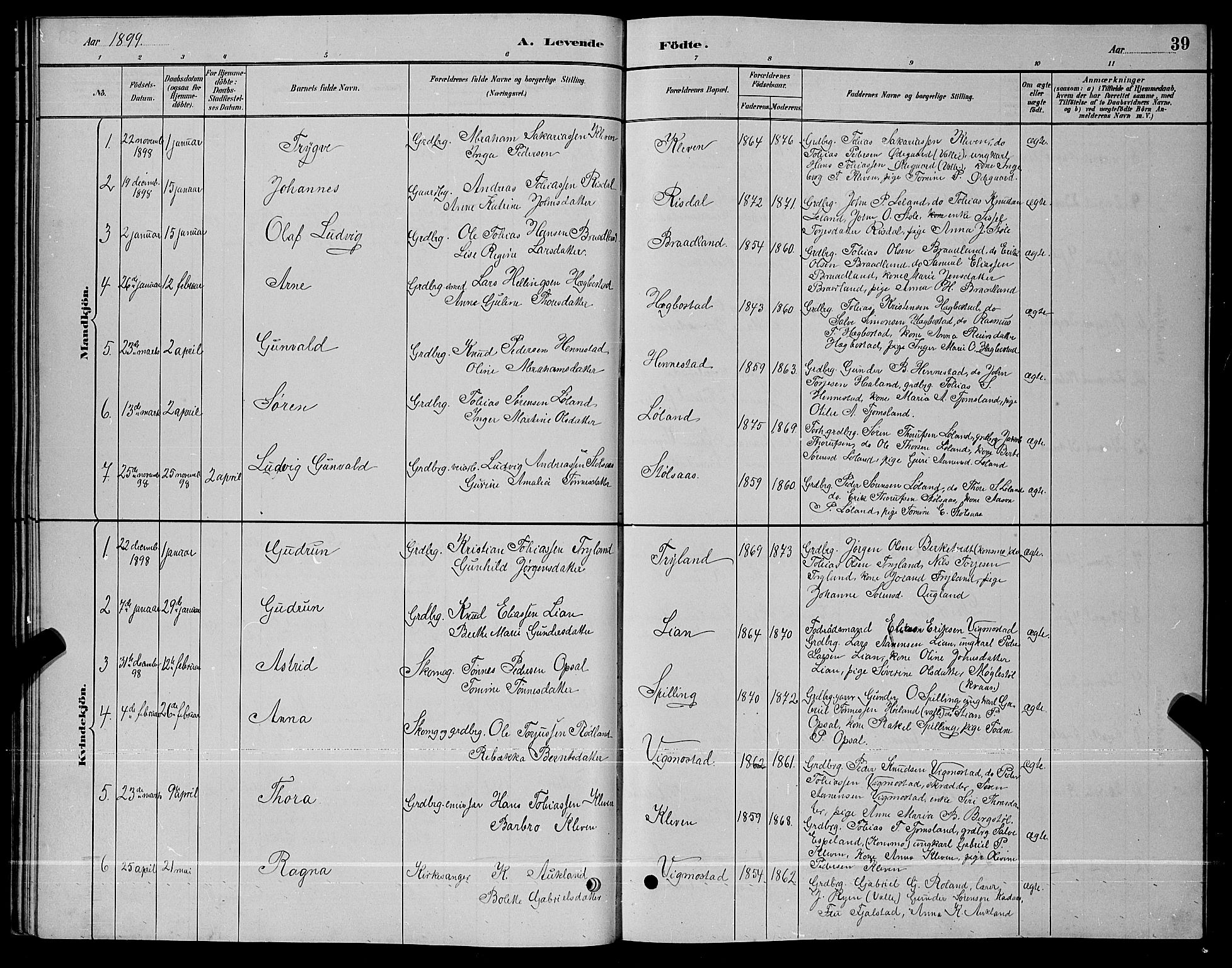 Nord-Audnedal sokneprestkontor, AV/SAK-1111-0032/F/Fb/Fbb/L0003: Parish register (copy) no. B 3, 1882-1900, p. 39