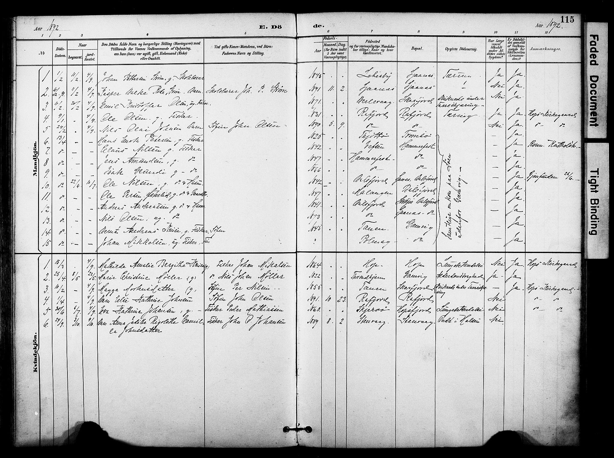 Tana sokneprestkontor, SATØ/S-1334/H/Ha/L0006kirke: Parish register (official) no. 6, 1892-1908, p. 115