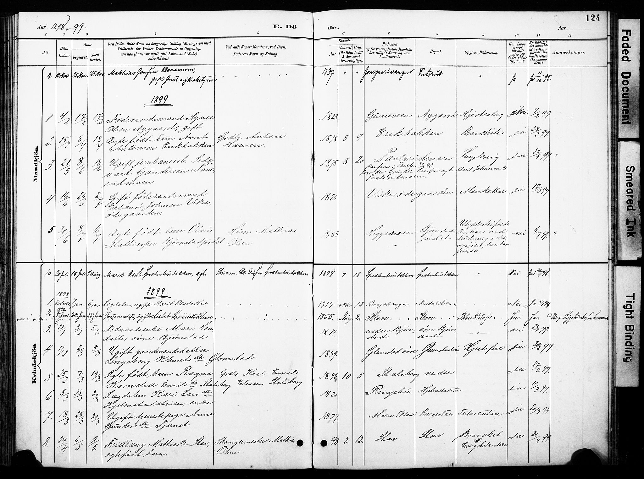 Øyer prestekontor, SAH/PREST-084/H/Ha/Haa/L0011: Parish register (official) no. 11, 1894-1905, p. 124