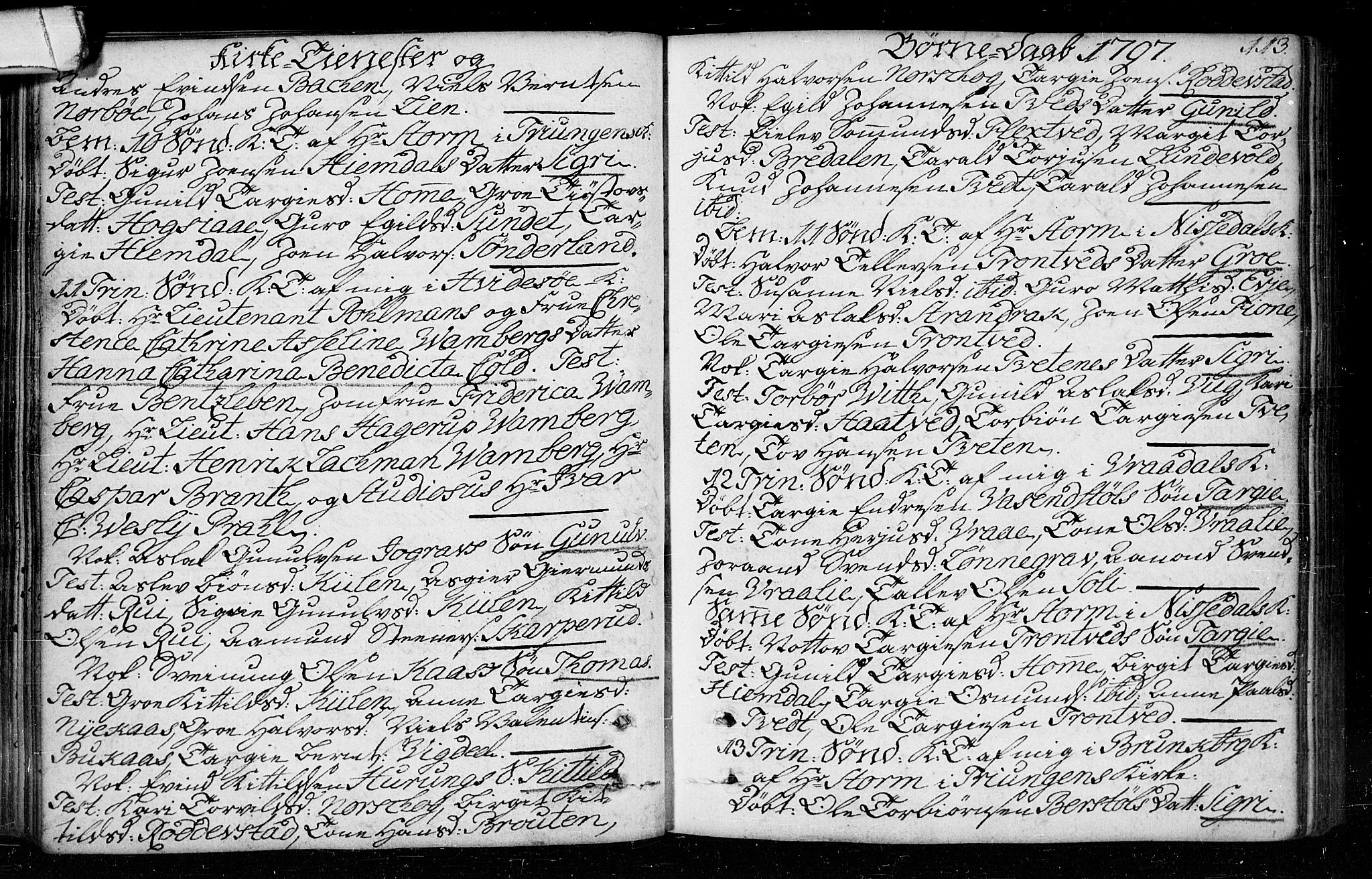 Kviteseid kirkebøker, SAKO/A-276/F/Fa/L0003: Parish register (official) no. I 3, 1787-1799, p. 113