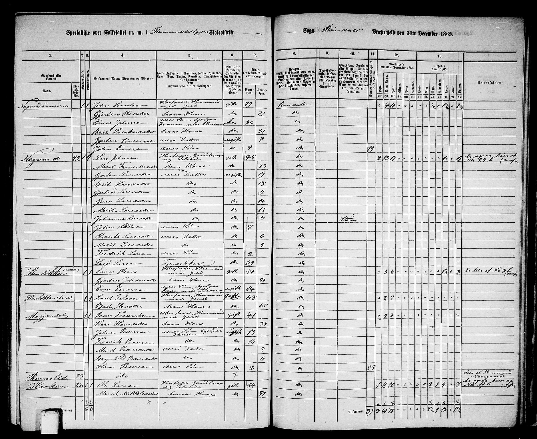 RA, 1865 census for Rindal, 1865, p. 82