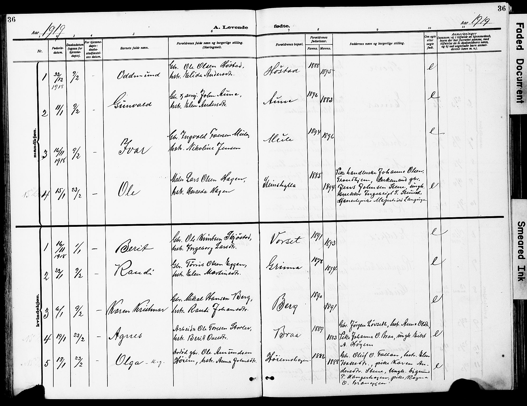 Ministerialprotokoller, klokkerbøker og fødselsregistre - Sør-Trøndelag, SAT/A-1456/612/L0388: Parish register (copy) no. 612C04, 1909-1929, p. 36